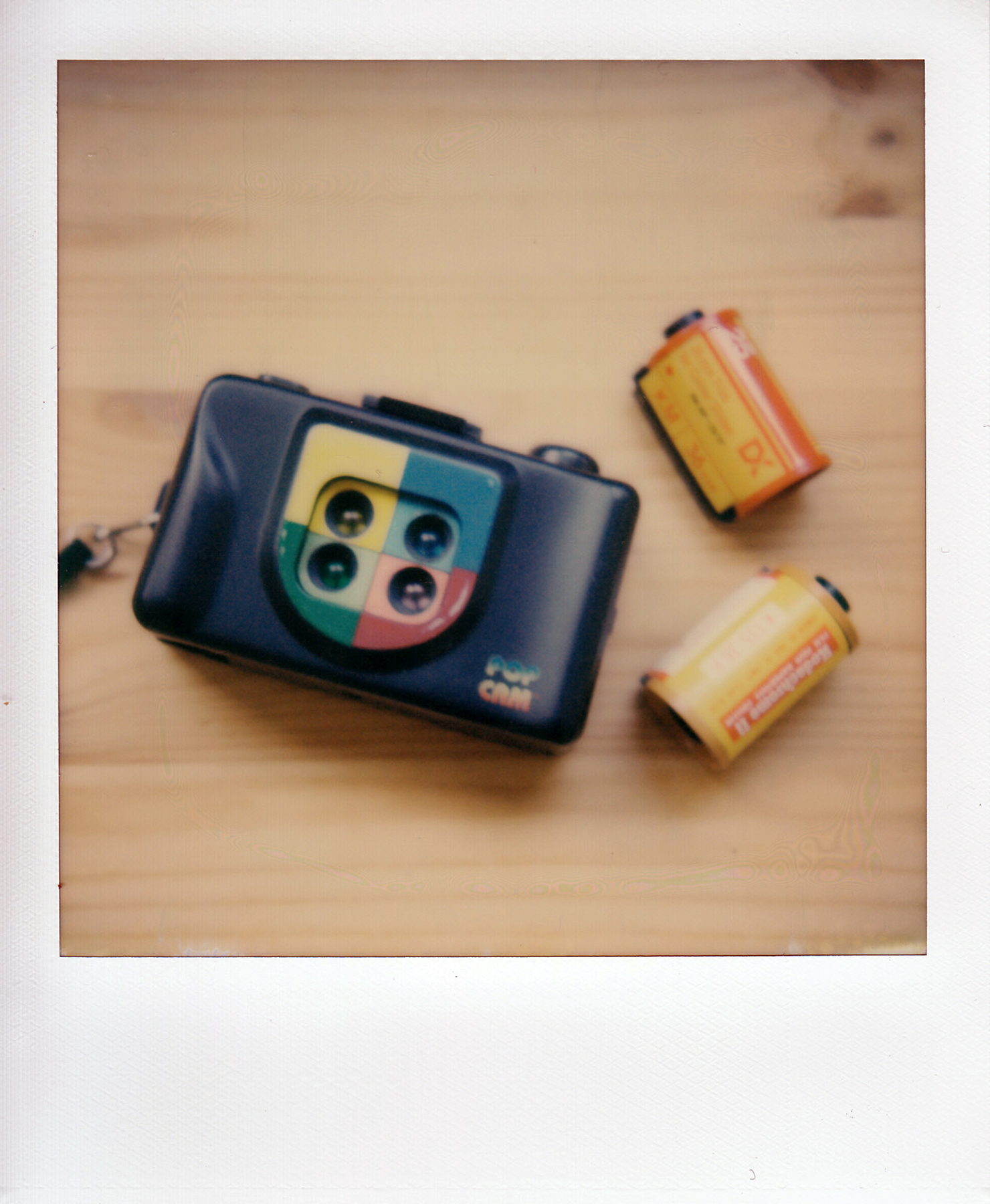 Untitled | Polaroid SX70 | Impossible Color | La Fille Renne