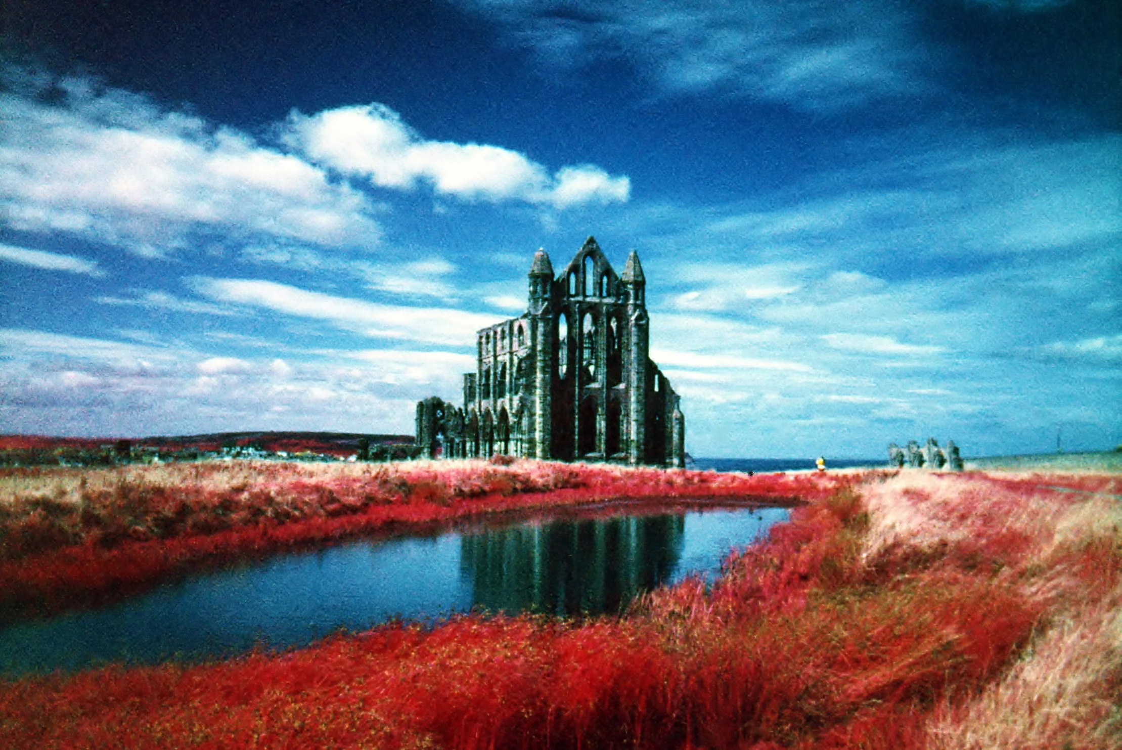 Olga and Fatso Go Goth  (AKA Shooting Infrared Film in Toy Cameras) | Lucy Wainwright
