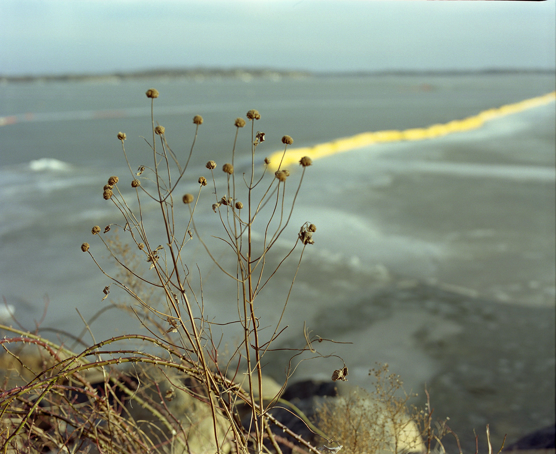 The Coldest Day of Winter | Mamiya RB67 ProS | Kodak Portra 400 | Barbara Justice