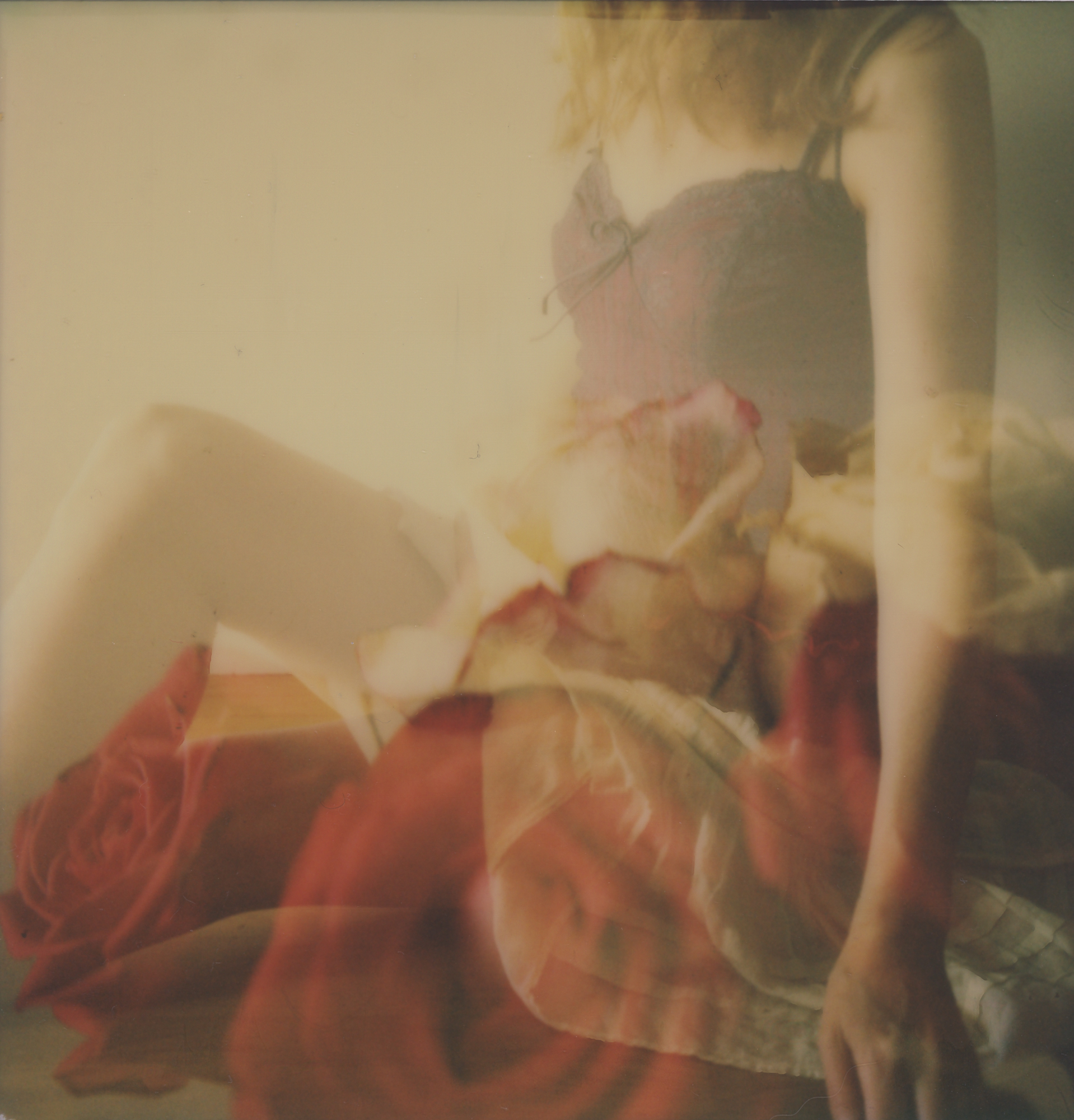 Among The Roses | Polaroid SX70 | Impossile Project 600 Color Film | Anne Silver
