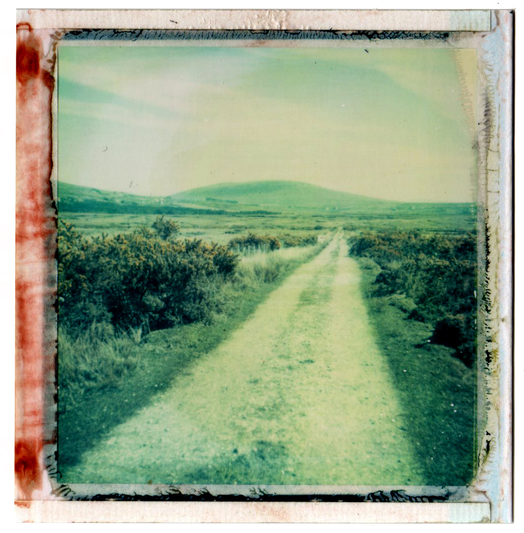 Bog Road | Polaroid Super Color Swinger | PolaColor 88 Film | Franics Van Maele