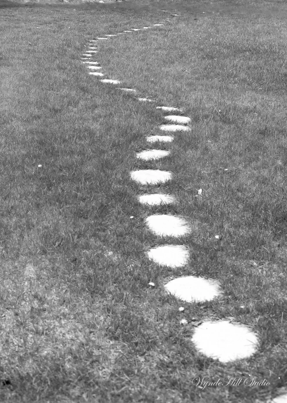 STEPPING STONES | PENTAX 6X7 90MM LENS | FUJI ACROS-PHOTO CROPPED |ROBERT ROGERS