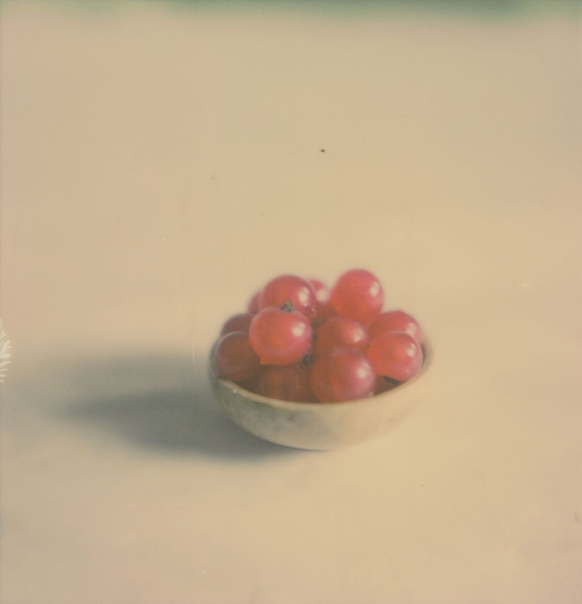 Red Currants | SX-70 Sonar | Impossible Project 600 | Anne Silver 