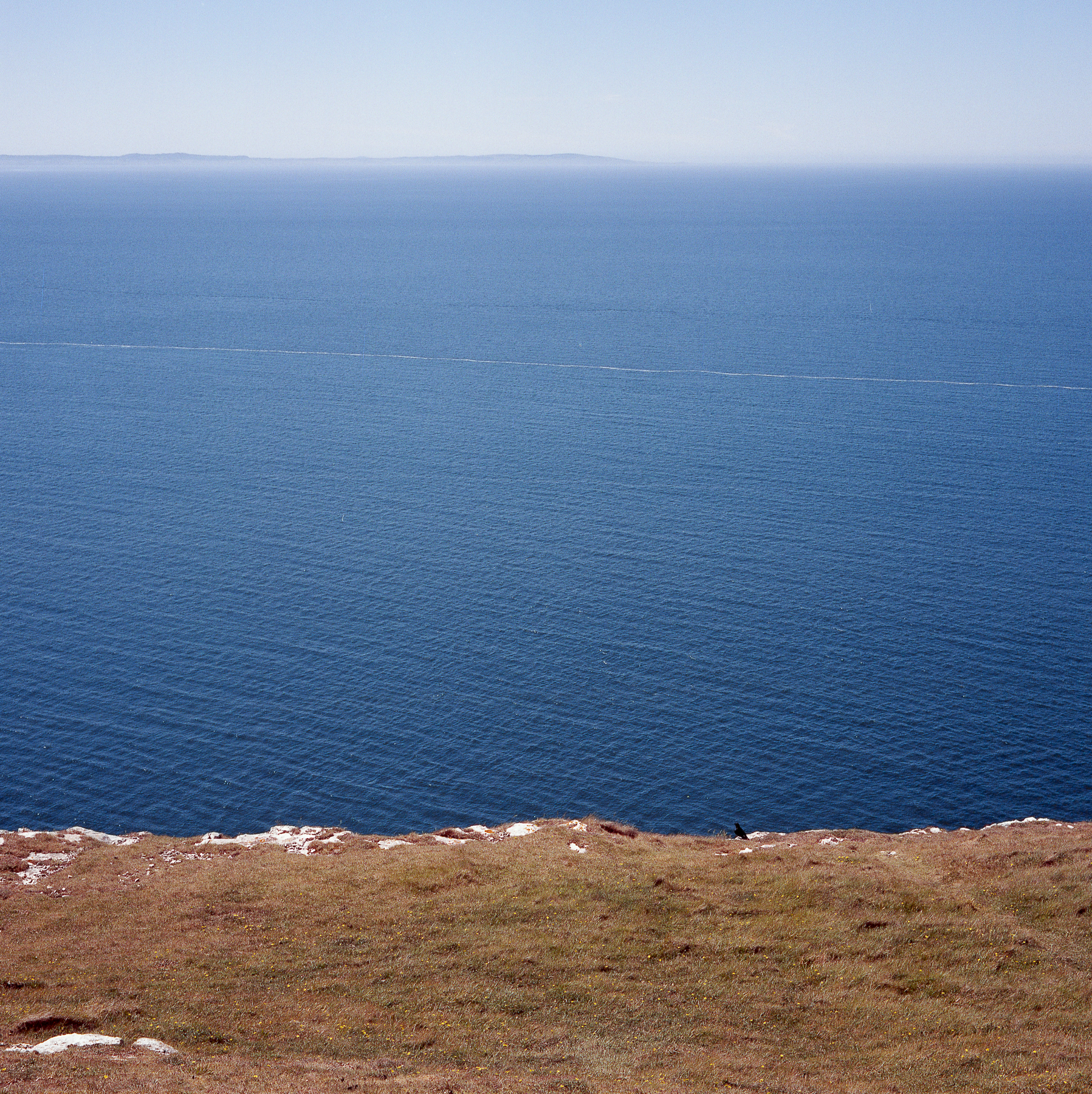 Earth And Sea - Pallette Of Hope | Minolta Autocord | Portra 160 | Robert Law