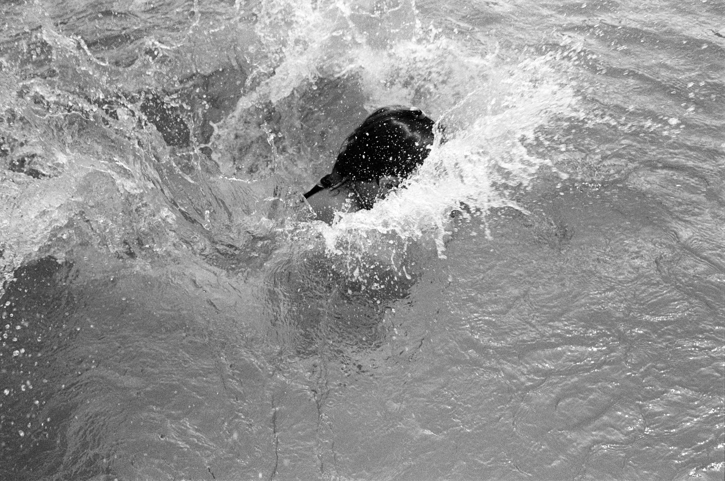 Into the Very Depths | Canon AE1 | Ilford HP5 | Katia Shipulina