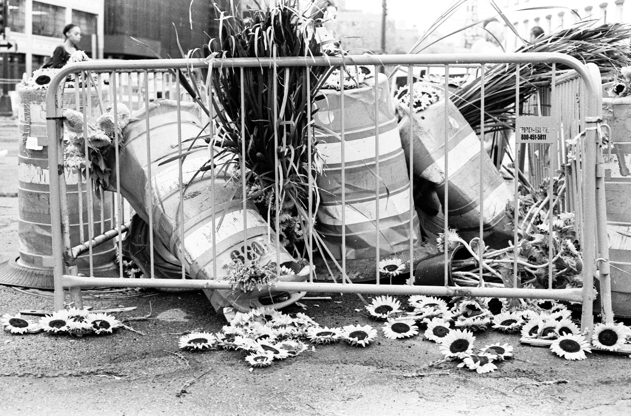 Guerilla Art | Leica M7 | Ilford 400 | Yana Azova 