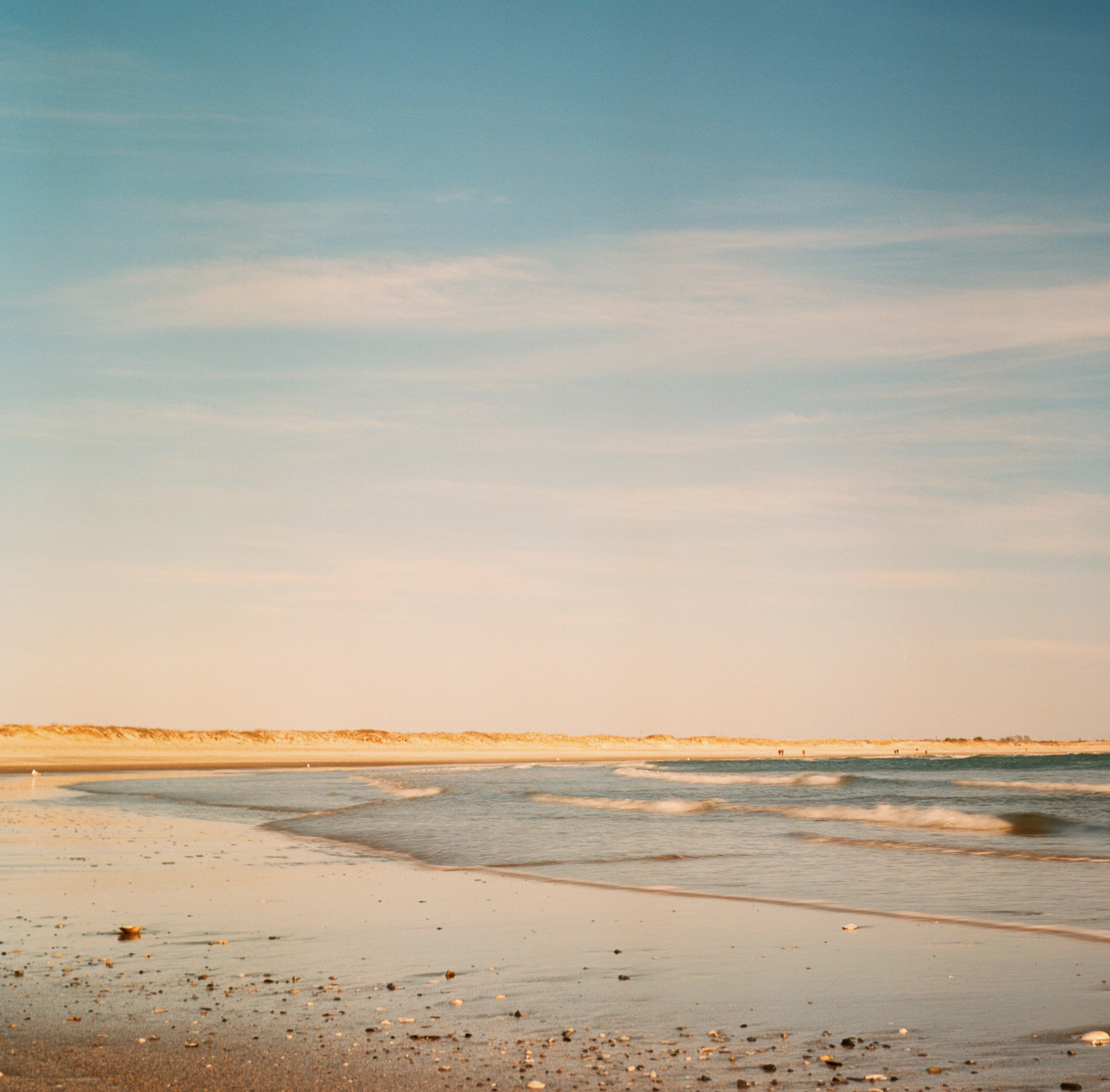 Second Beach | Kodak Ektar | Rolleiflex 2.8F | Louis A Sousa