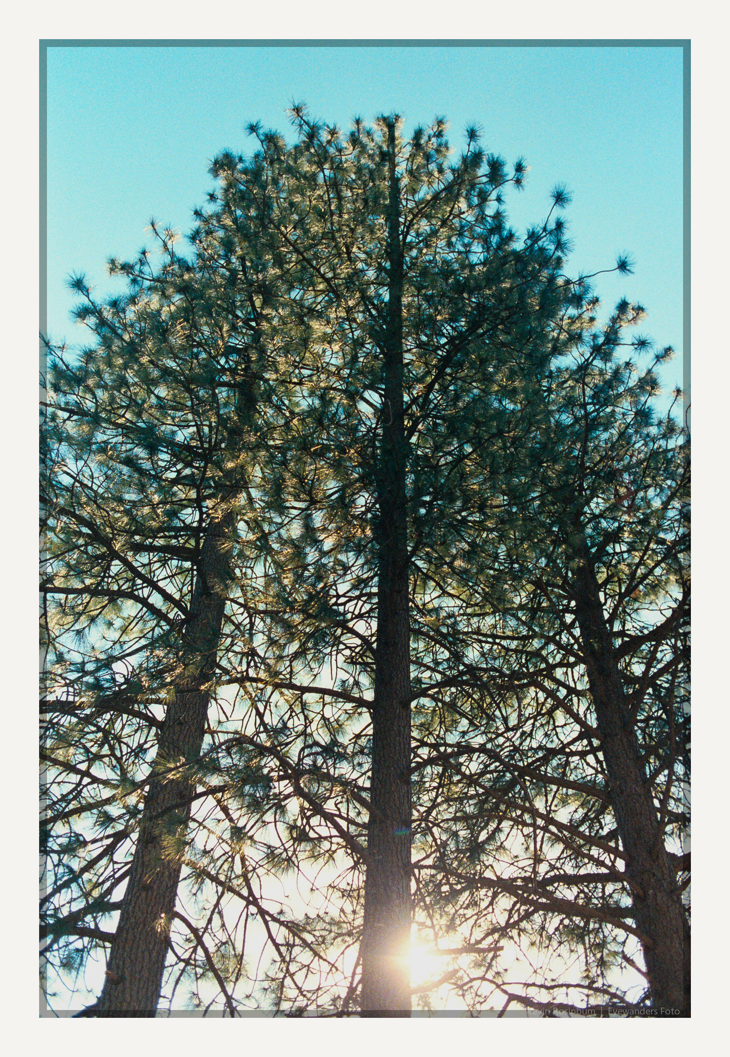 pillars | Pentax MZ3 35mm | Lomo F2 400 | Kevin Rosinbum