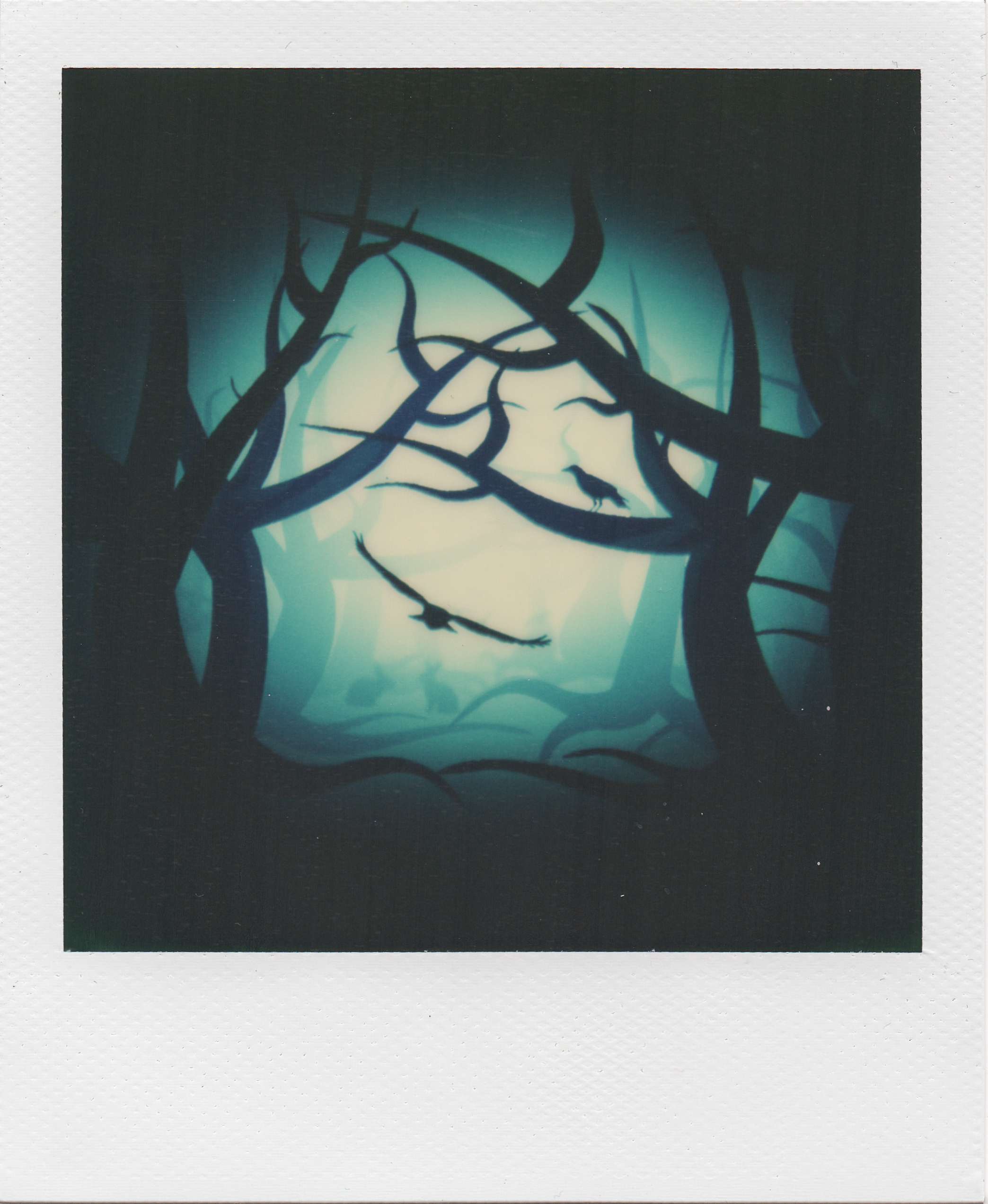 Instant Dream | Polaroid SX70 | Impossible Project Factory Seconds 70 Color Film | One Photograph Found In A Dream | Karin Claus