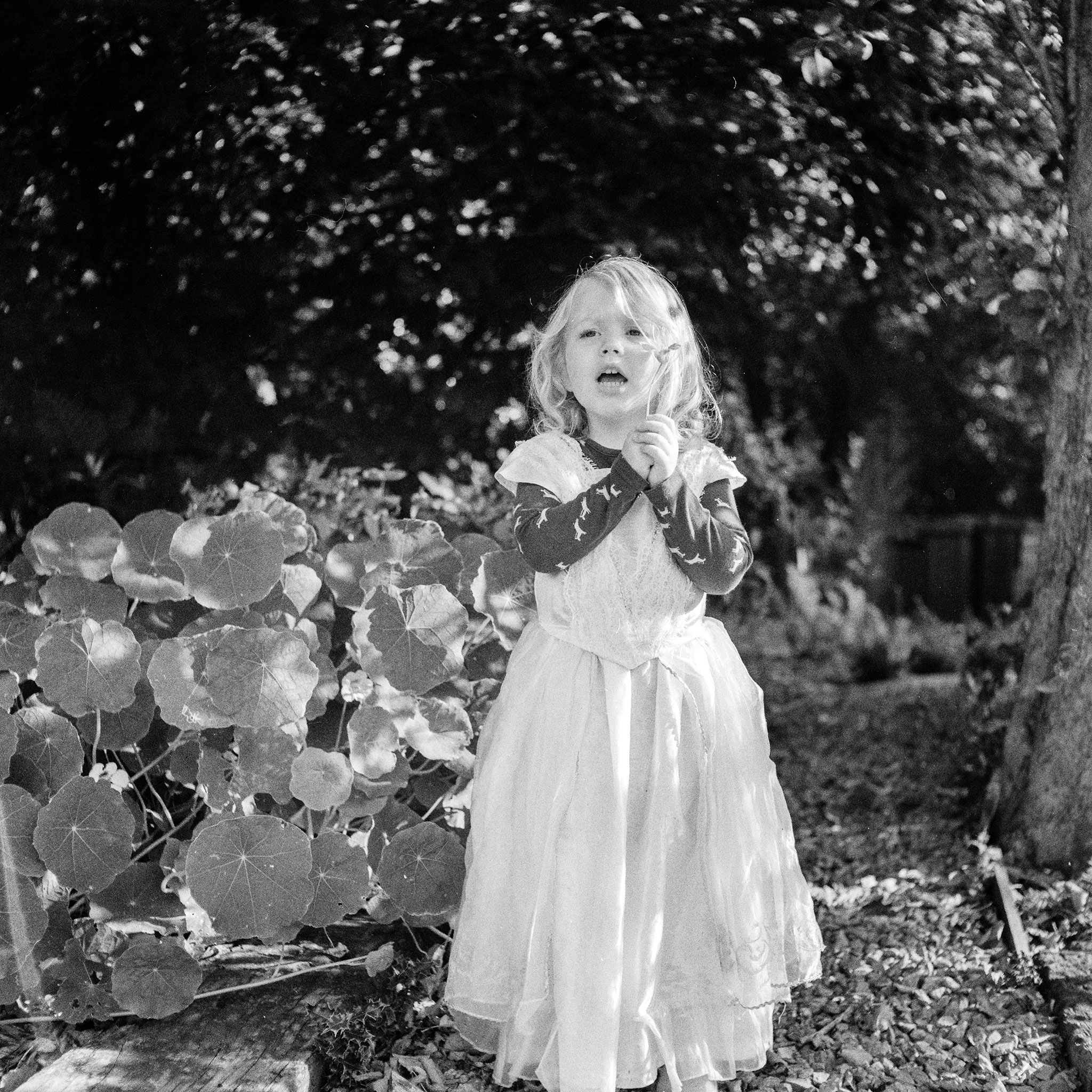 Michael Rennie | Princess | Rolliecord VB | Ilford HP5