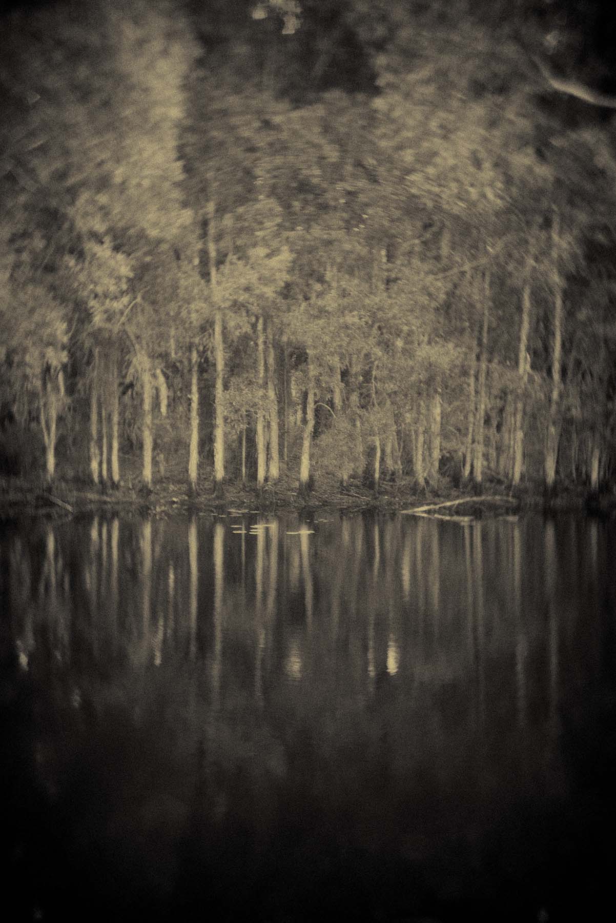 blackwater park | Nikon FTN | Shahram Zadgan