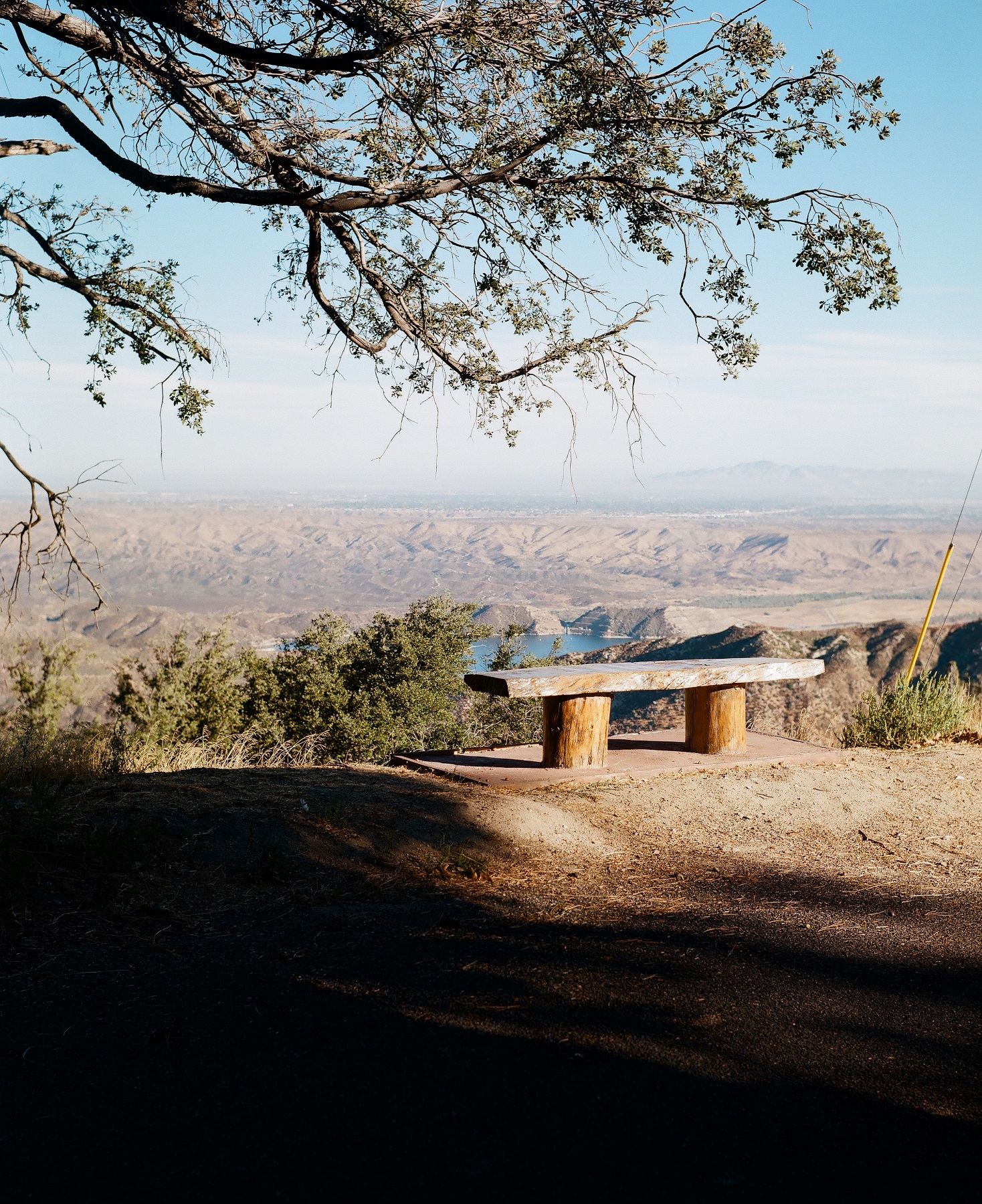 Crestline, California_Mamiya Super 23, 3.5f=100m_Kyle Everett Smith_6.jpg