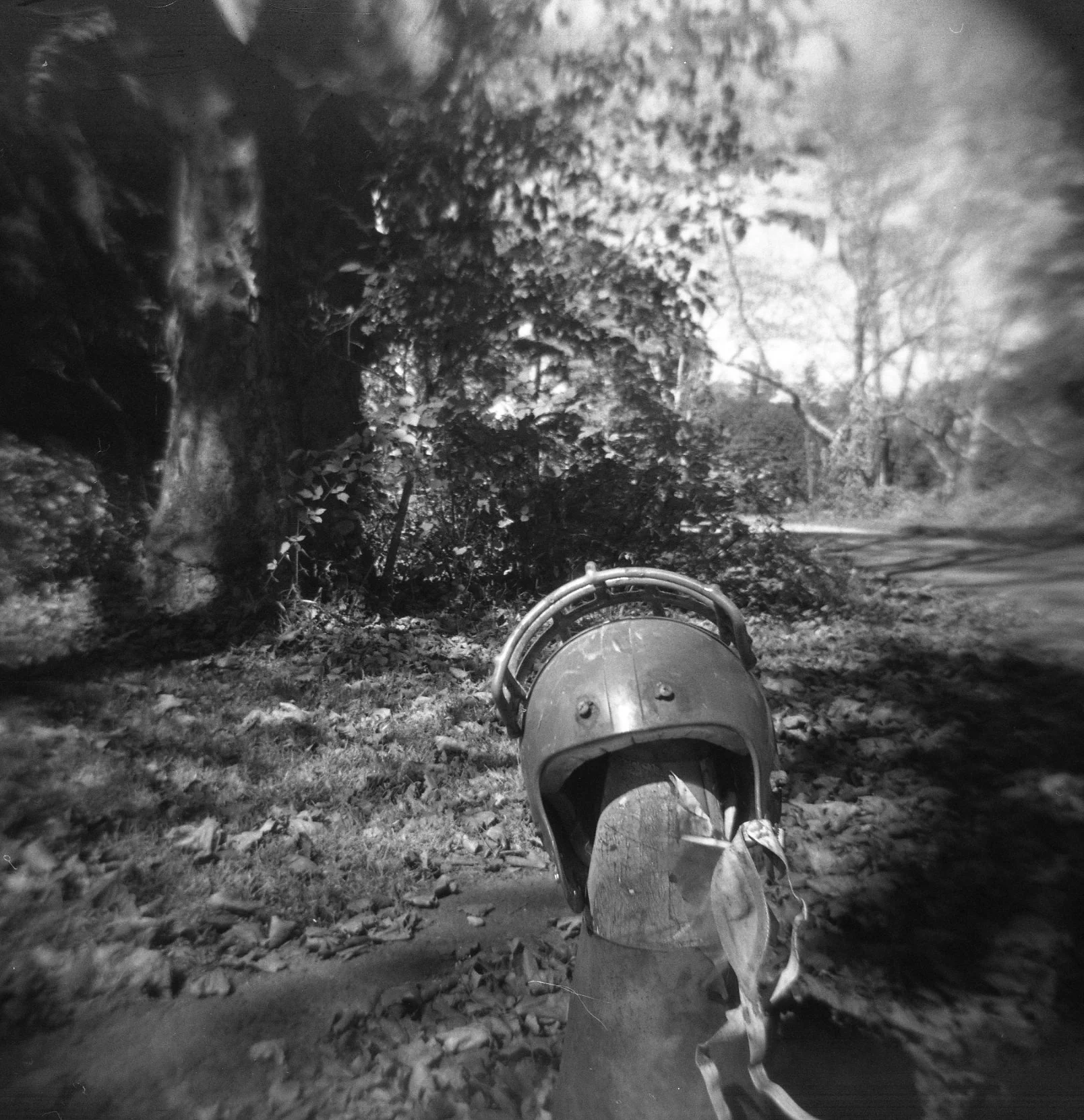 Go Team | Holga 120N | TMAX 400 | Jennifer Zehner