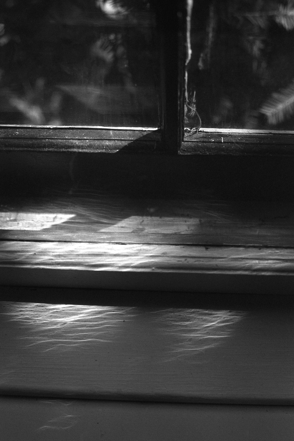 Northport | Canon AE-1 | Colin Kenniff