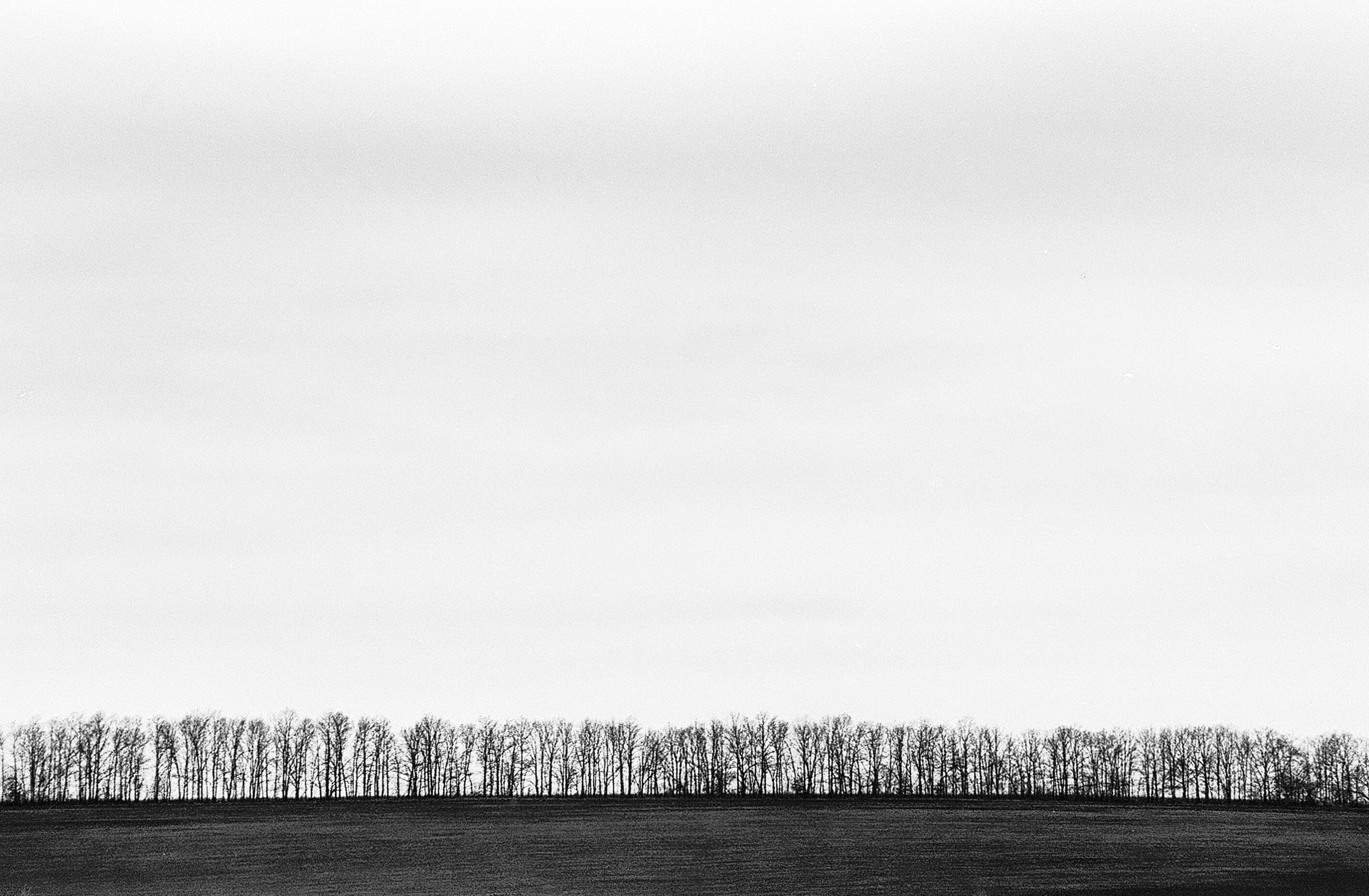 Untitled | Gleb Myalik