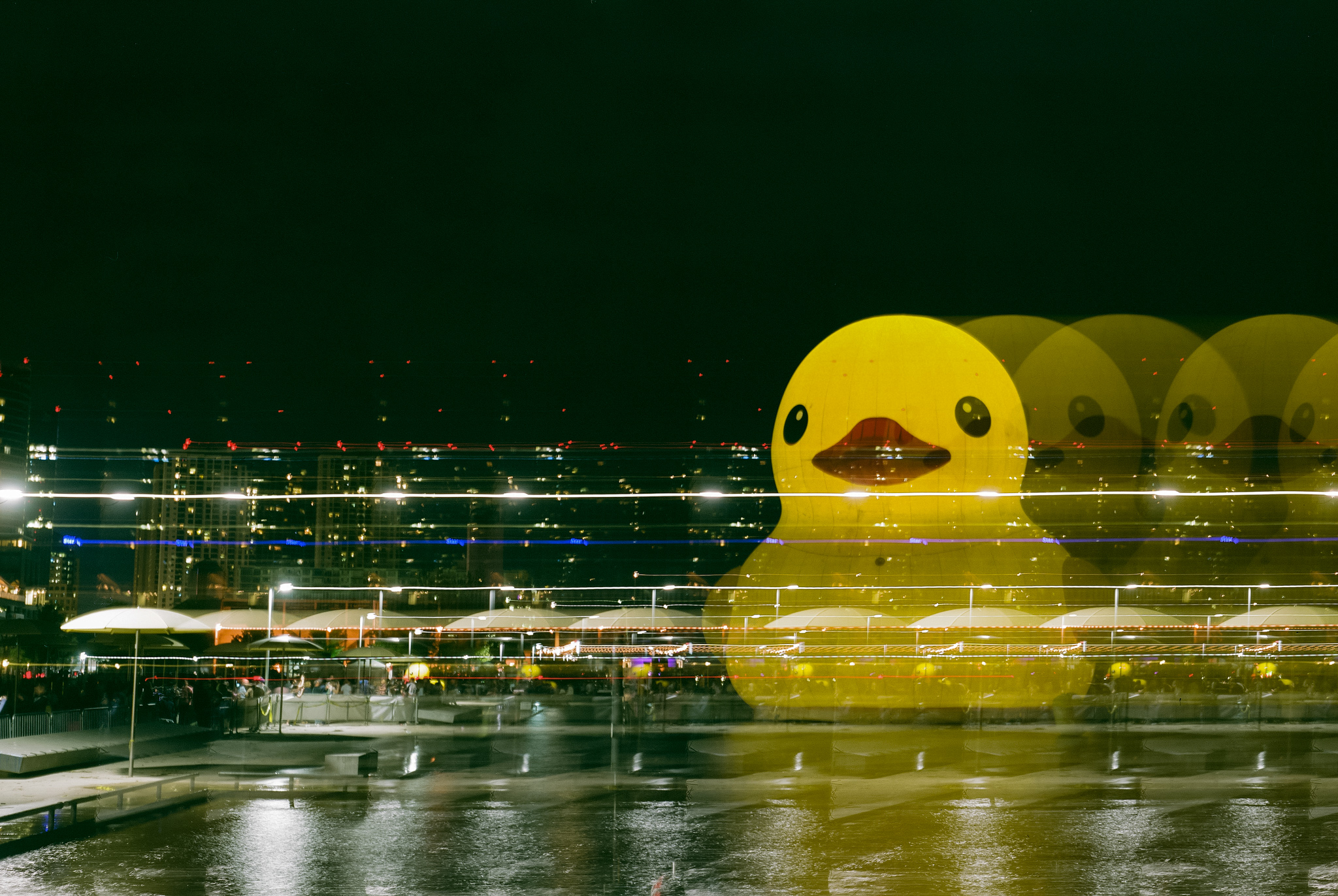 Multi-Duck | Speed Graphic | Kodak Ektar 101mm f/4.5 | Fuji 160NS | A. Gammell 