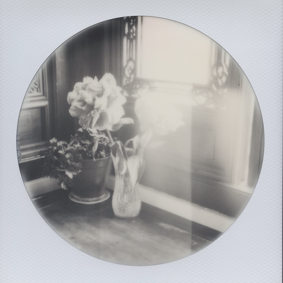 Lan Su Roses | SX-70 | Impossible Black and White 600 Round Frame | Heather Polley