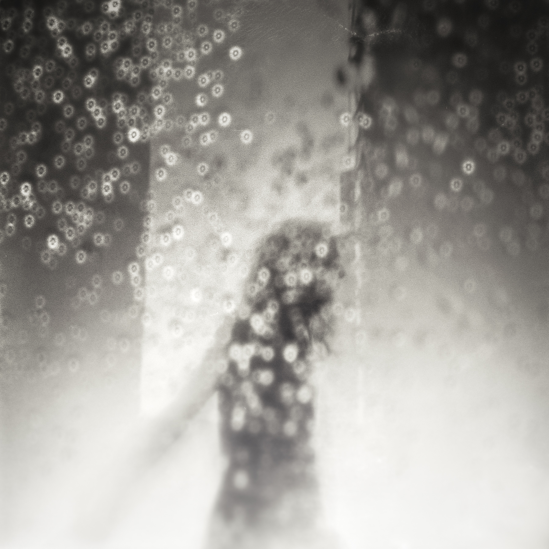 Rapture in the Rain | Diana F+ | Darren Rose