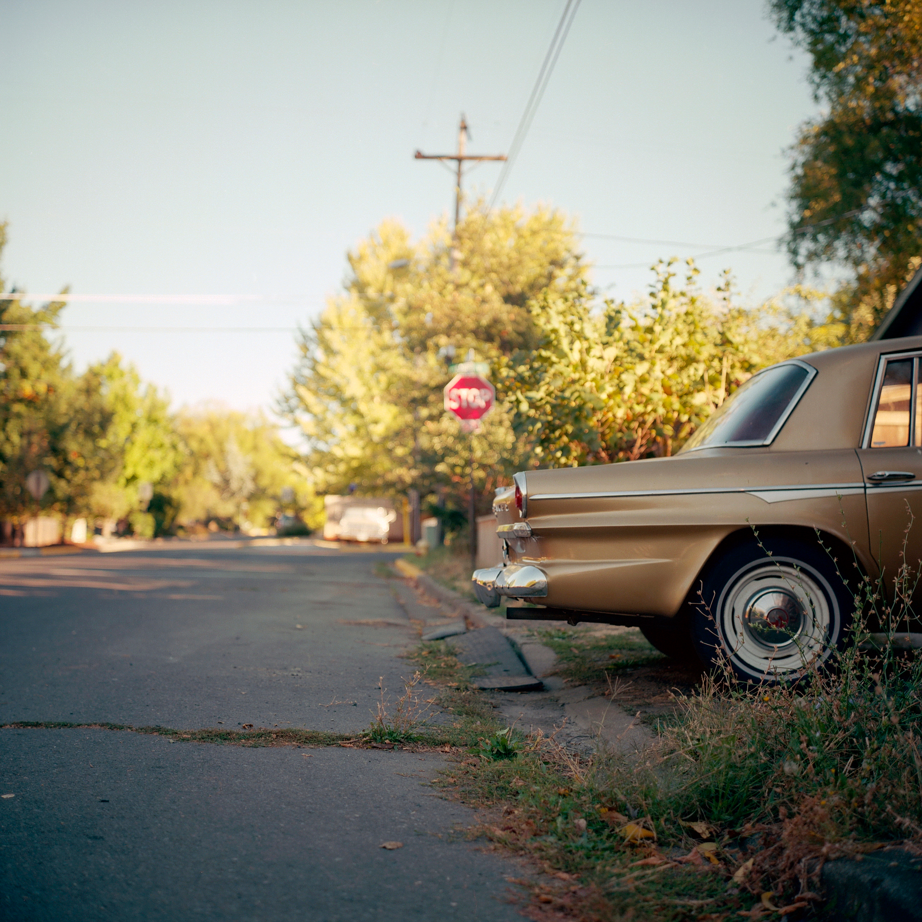  1955 Rolleiflex 2.8C | Zeiss Planar 80/2.8 | Kodak Ektar 100