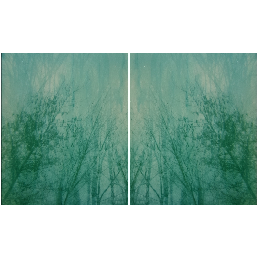 Untitled | Polaroid Originals Spectra Color | Amanda Pendlebury