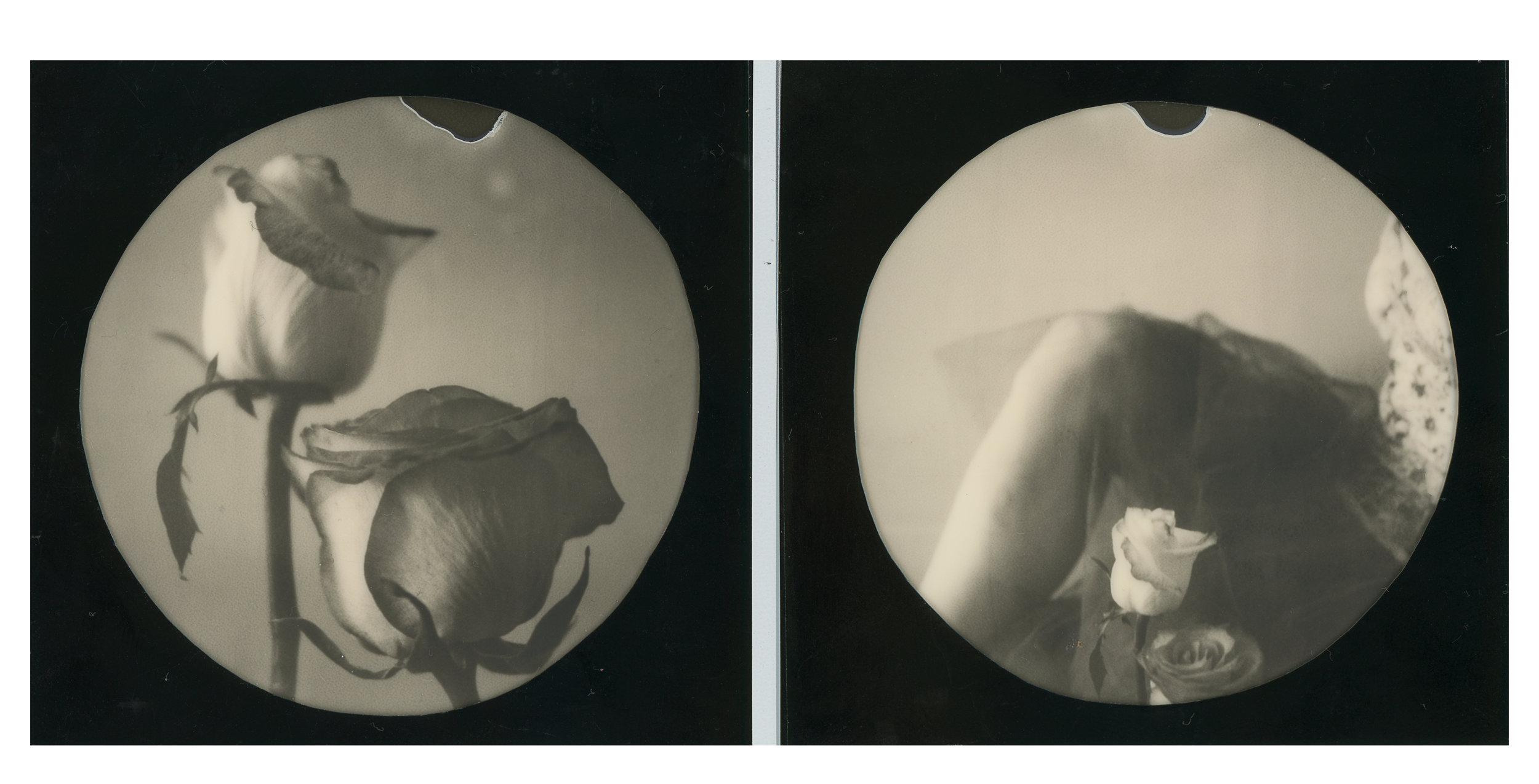 Echoes | Polaroid SX70 | Impossible Project Round Frame B/W | Anne Silver