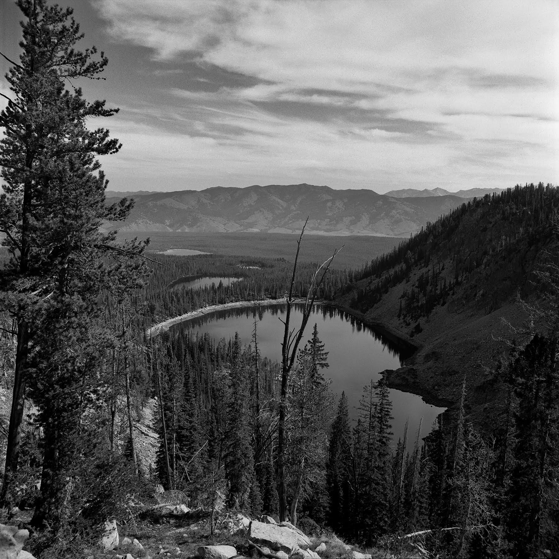 The view from Bench Lake #5 Rolleiflex FW, Ilford FP-4 plus