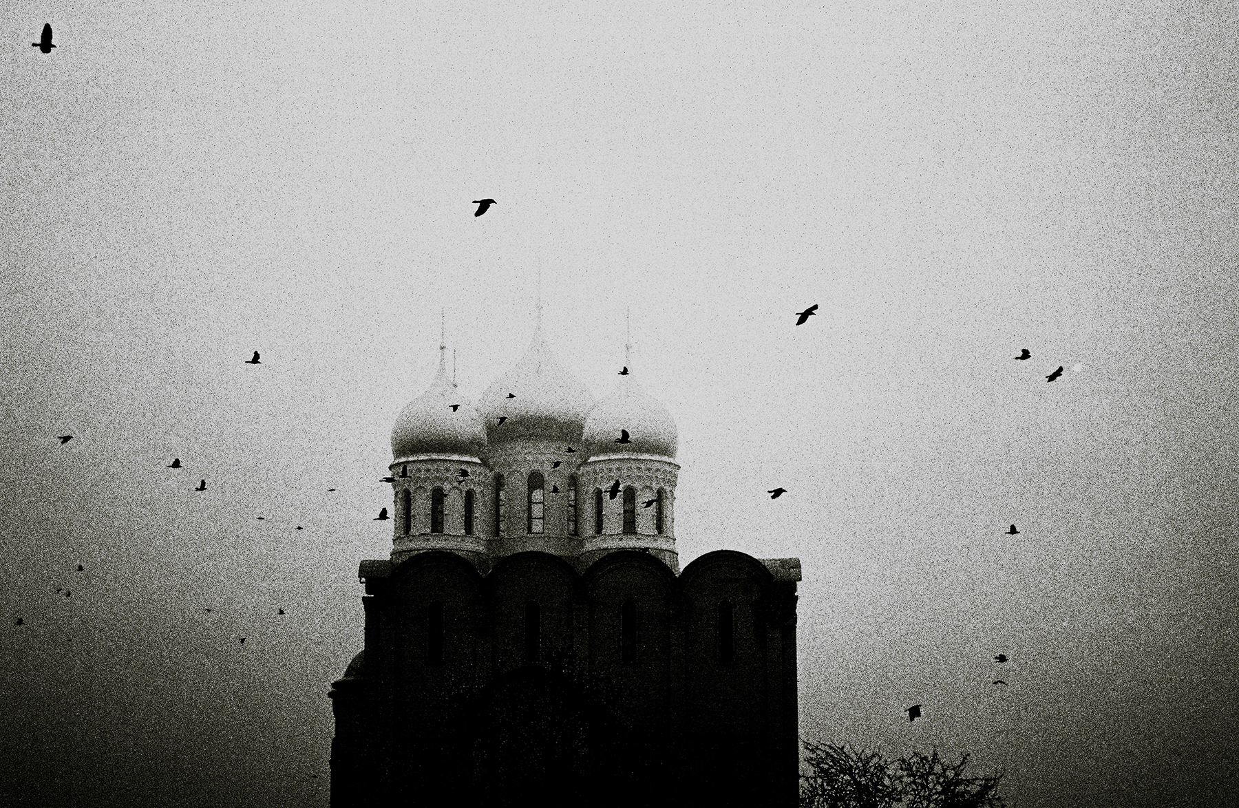 Opium of the People | Contax Aria+Zeiss Vario-Sonnar 35-70 f3.4 T | Christopher Vitruvian