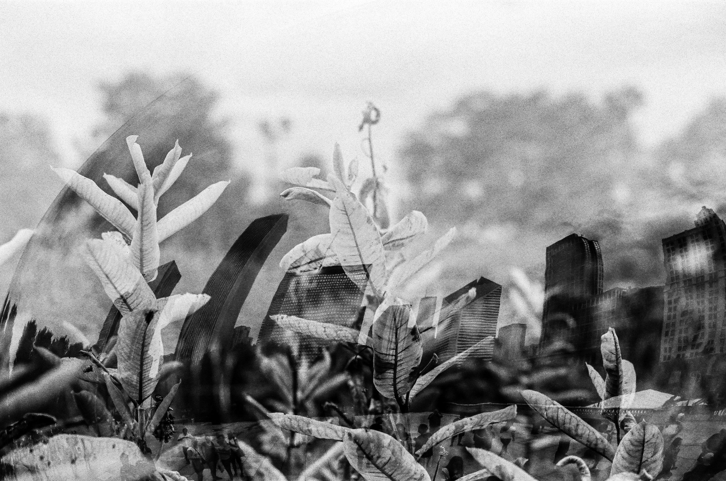 Remember The Future | Nikon FM3A |Nikkor  50mm f1.2 | Kodak TX400 | Michael Fauscette