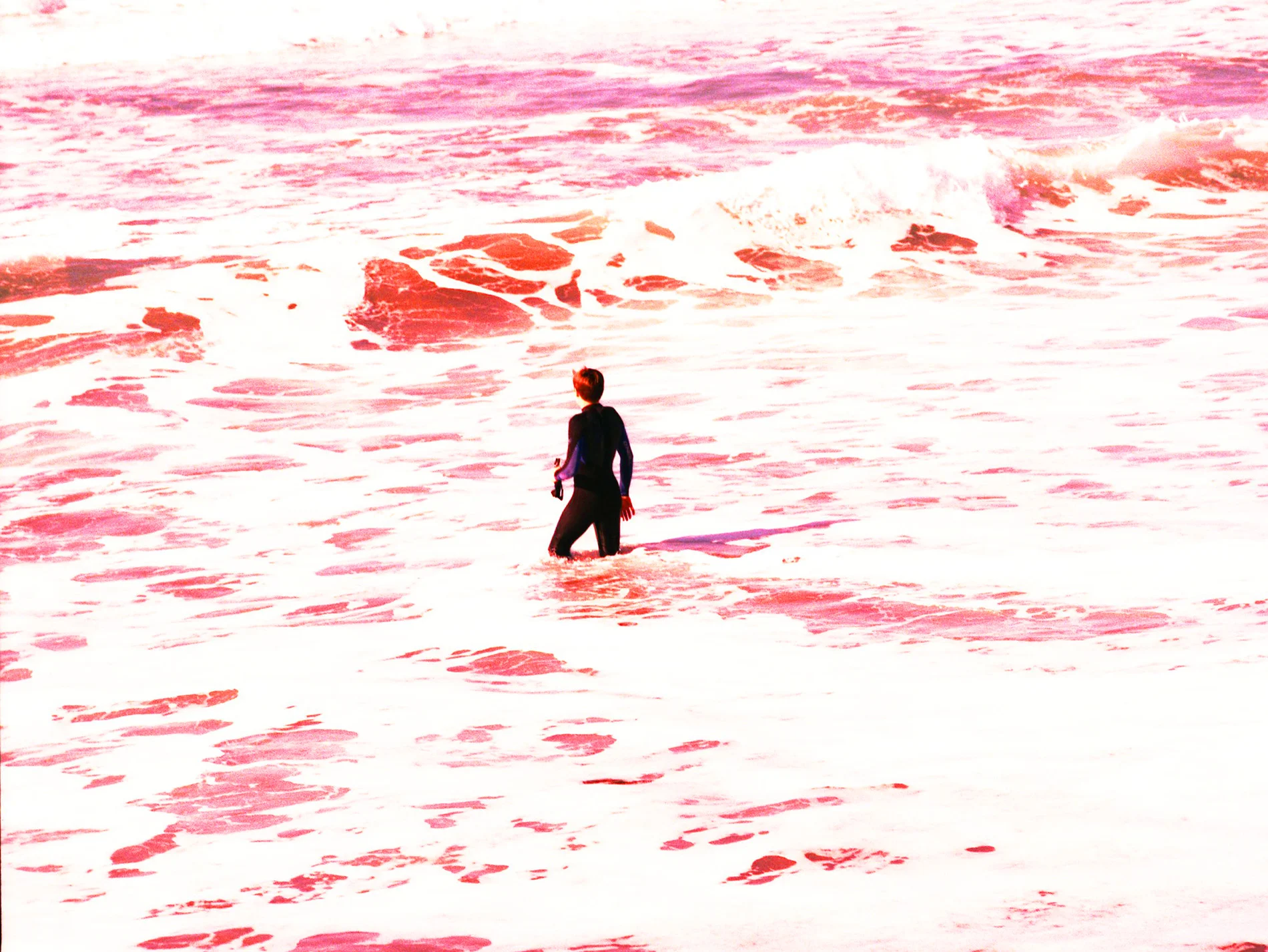 CURATED PHOTOSTREAM | April 23, 2018 | LUCY WAINWRIGHT