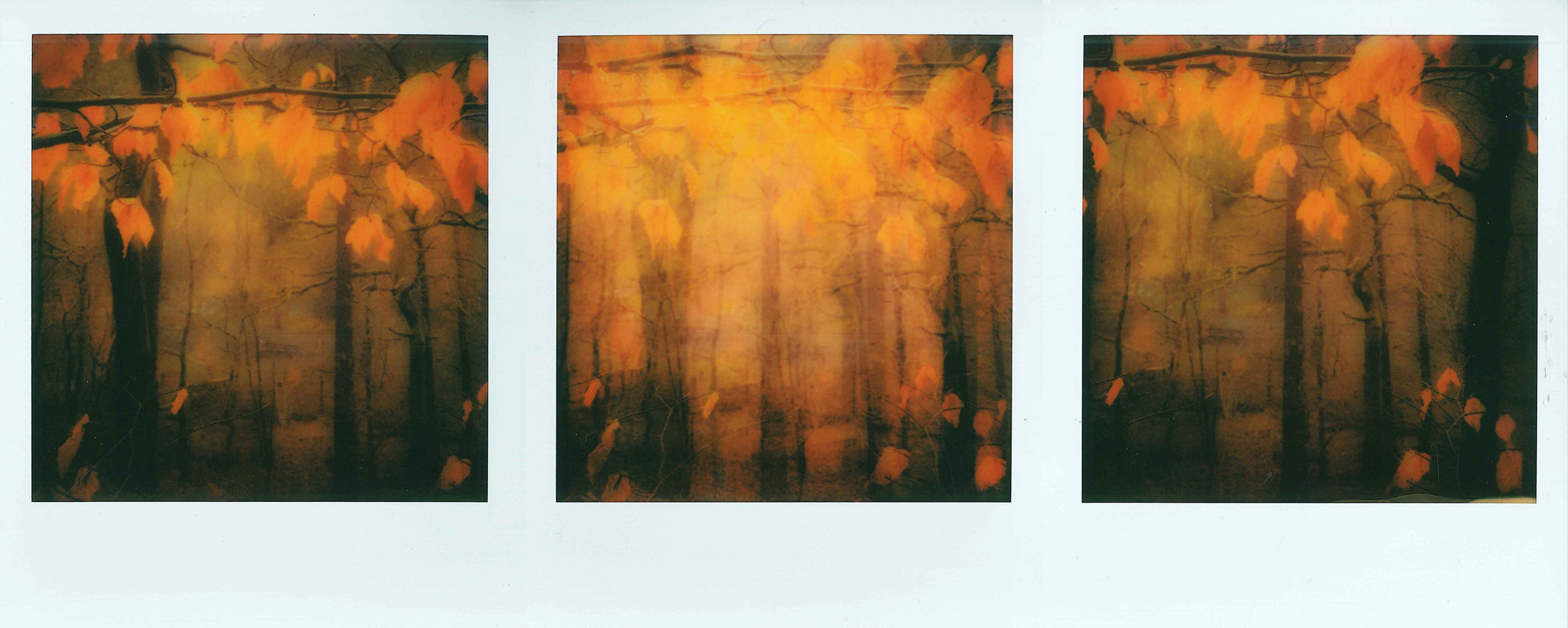 Untitled Triptych | Impossible Project Instant Lab | Polaroid Originals I-Type Color Film | Amanda Pendlebury