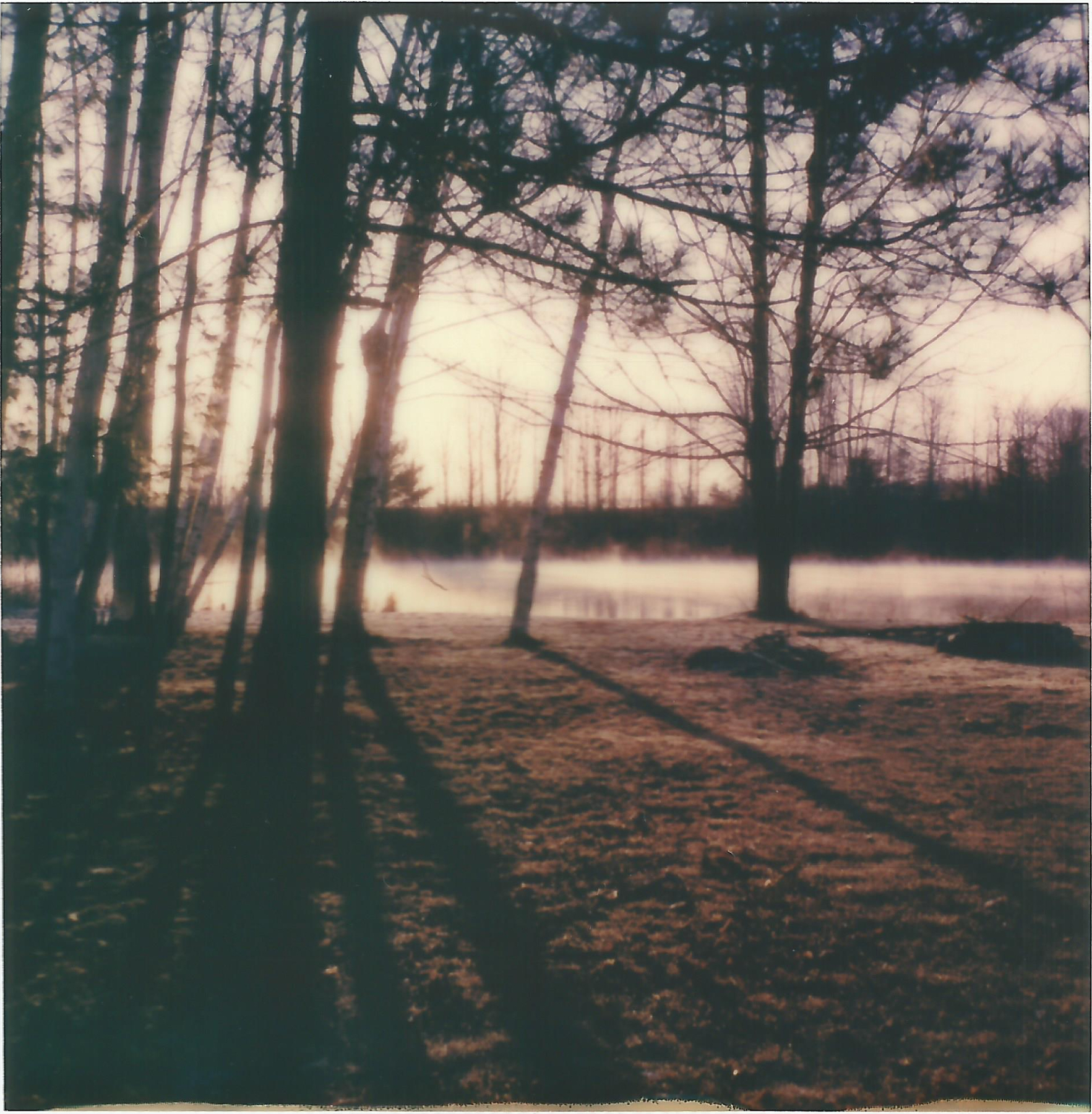 Long Shadows | Polaroid SLR 680 | Polaroid Originals 600 | Kristin Randall