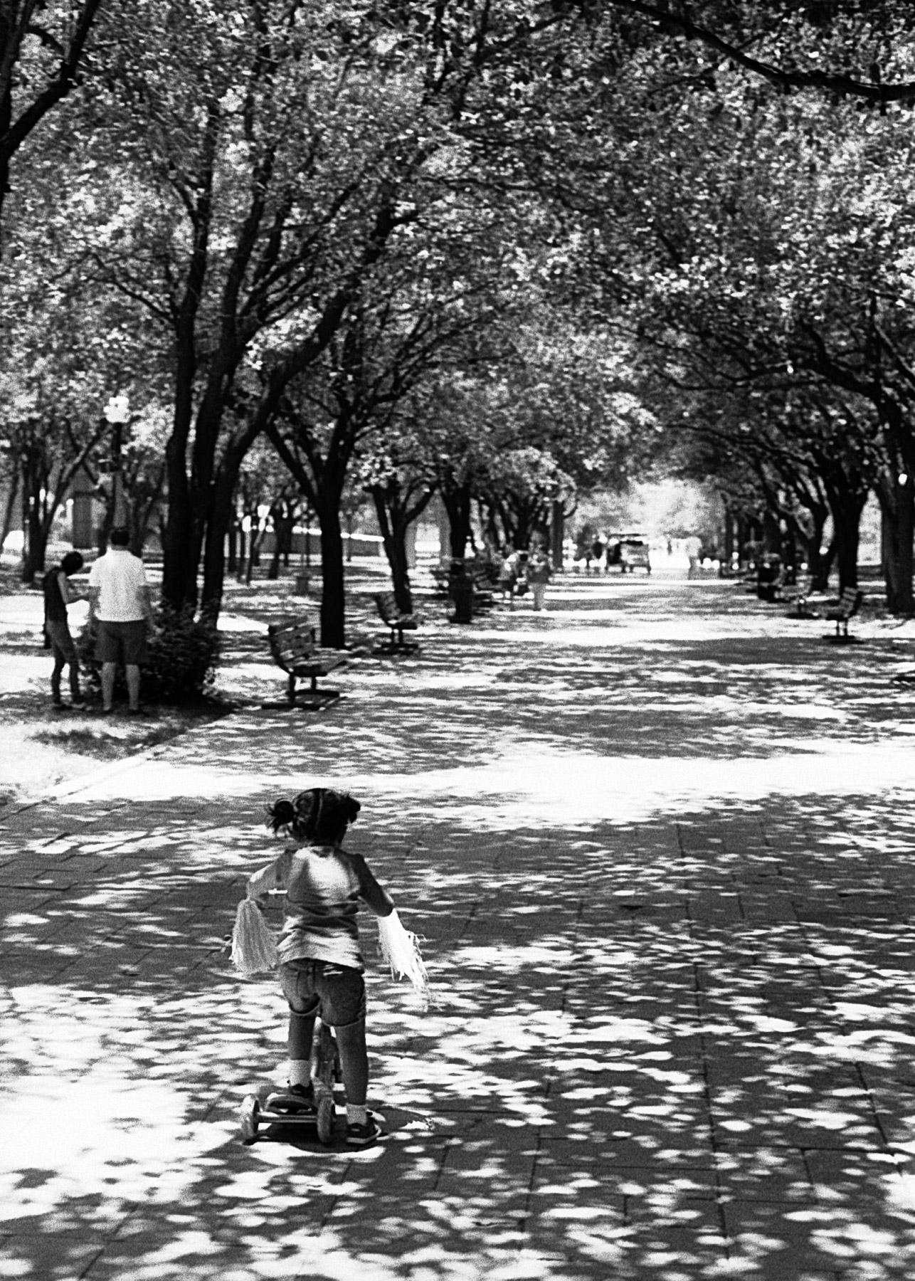 Ilford HP5 400 - MD Rokkor 45/2