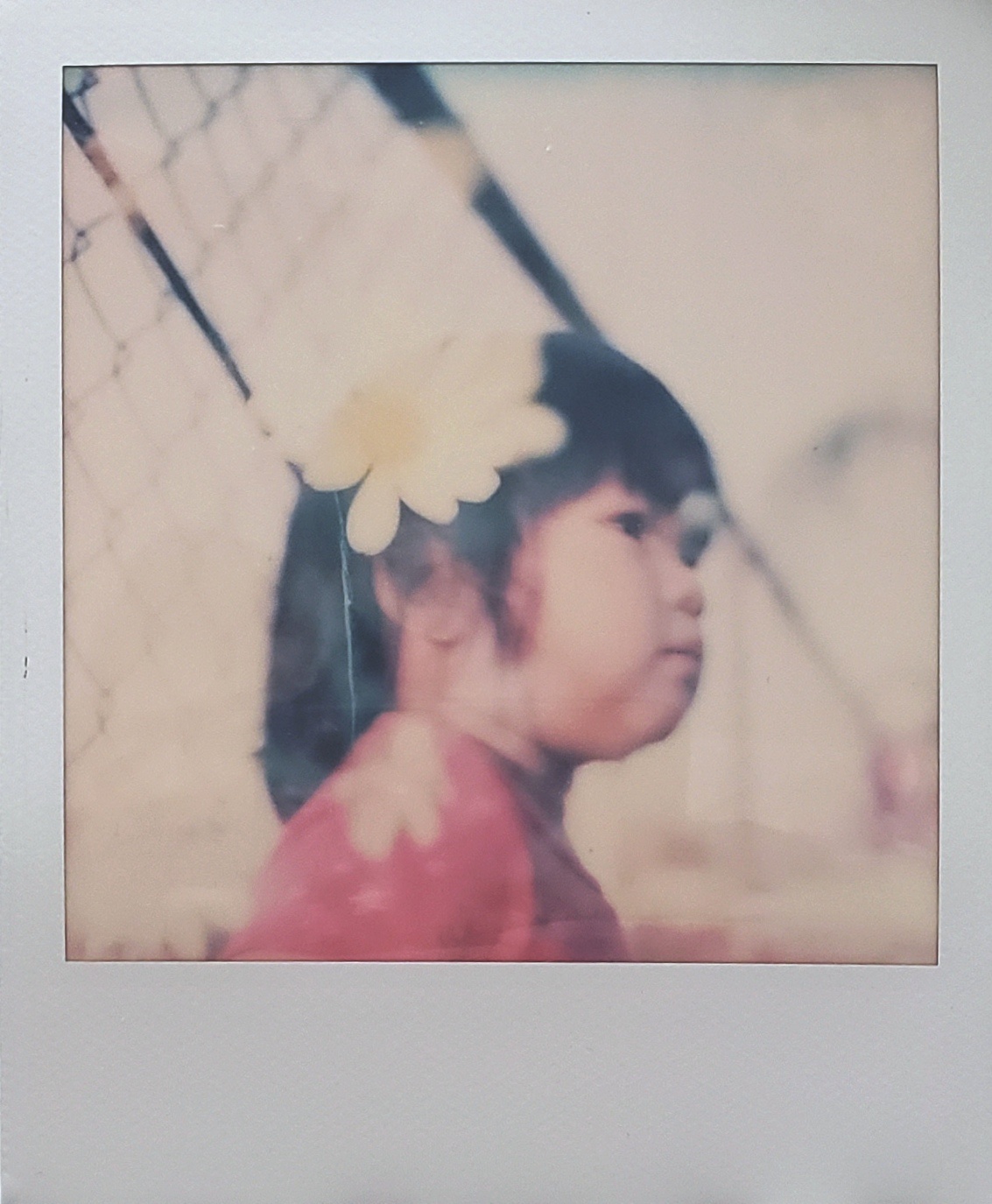 Blossom | Polaroid SX-70 | Alex Phommahasay