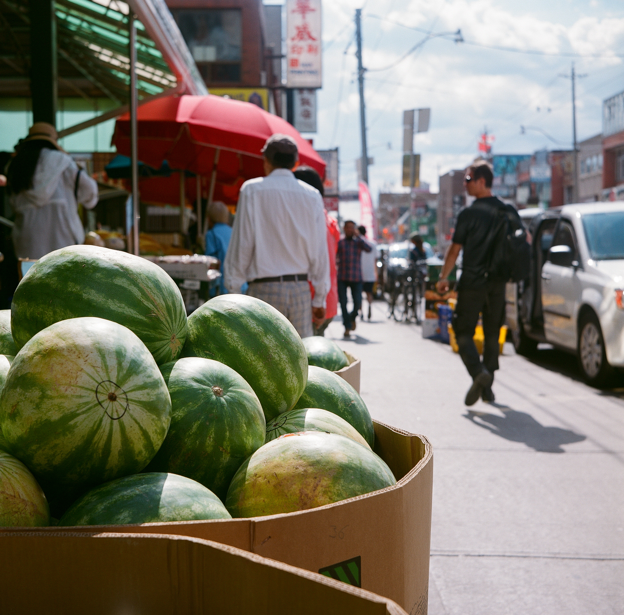 Andrew Gammell | Watermelon watermelon | Flexaret V | Fuji Reala 100