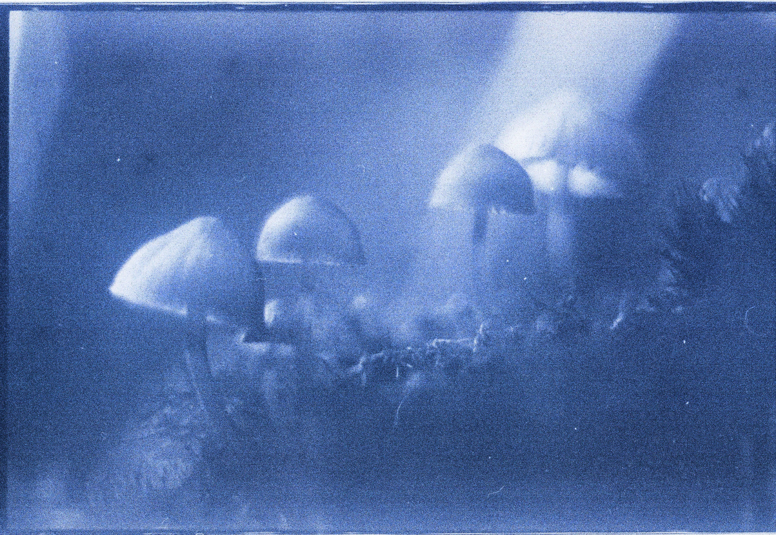 Mystic Mushrooms | Fujica ST701 | AGFA CT18 | Kali Herdman