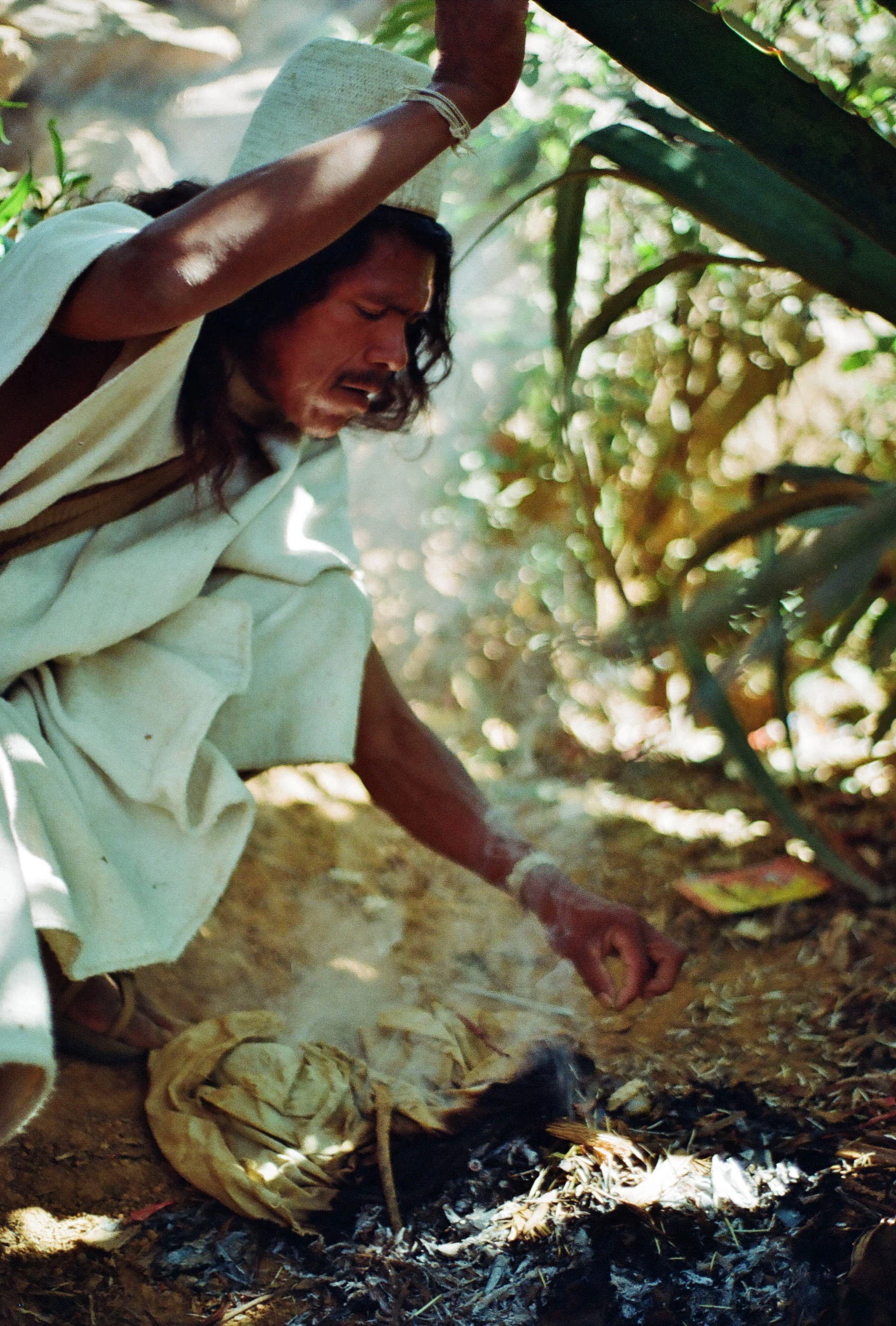 Burning porcupine thorns
