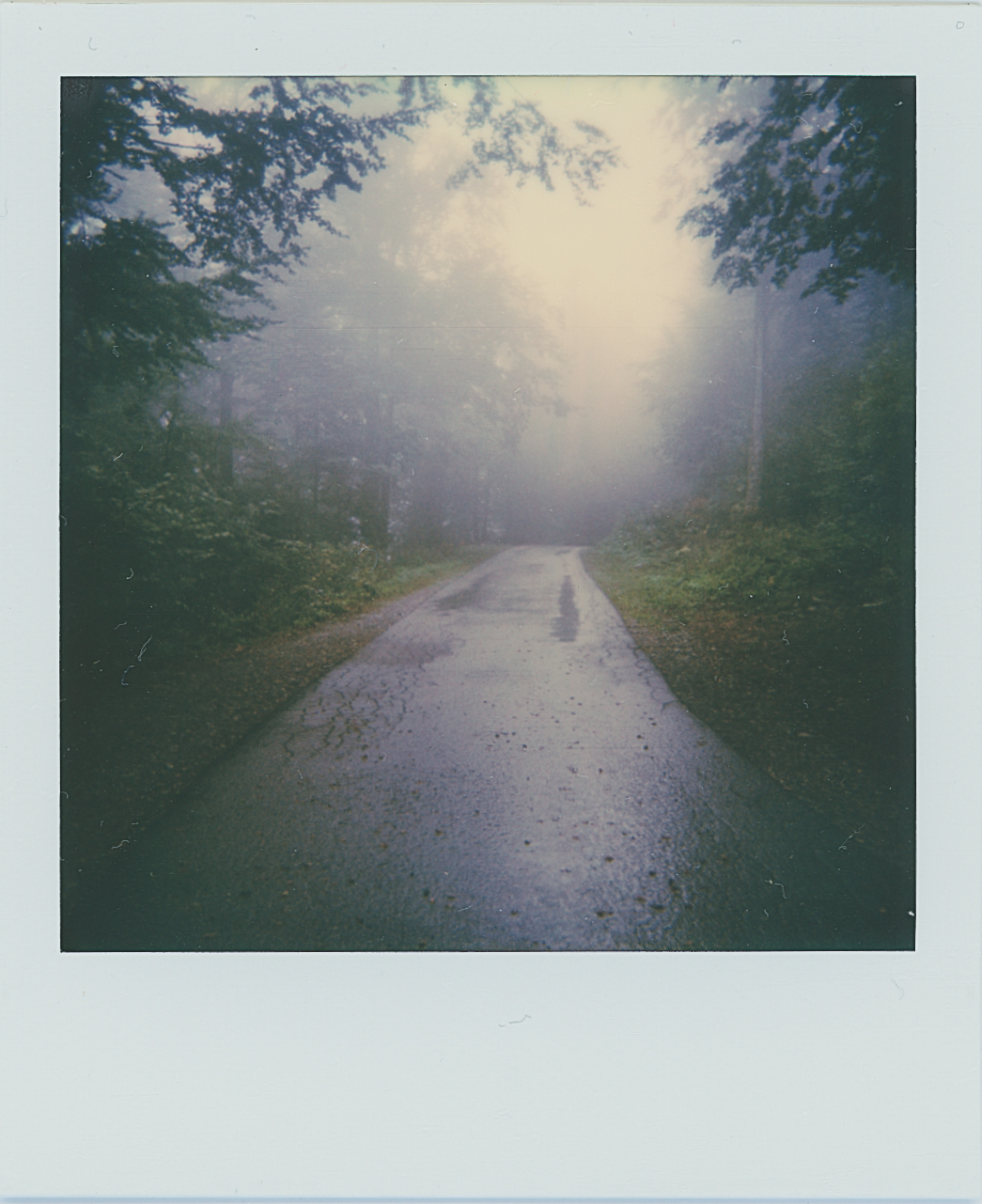 Foggy Road | Polaroid 600 | Josip Sore