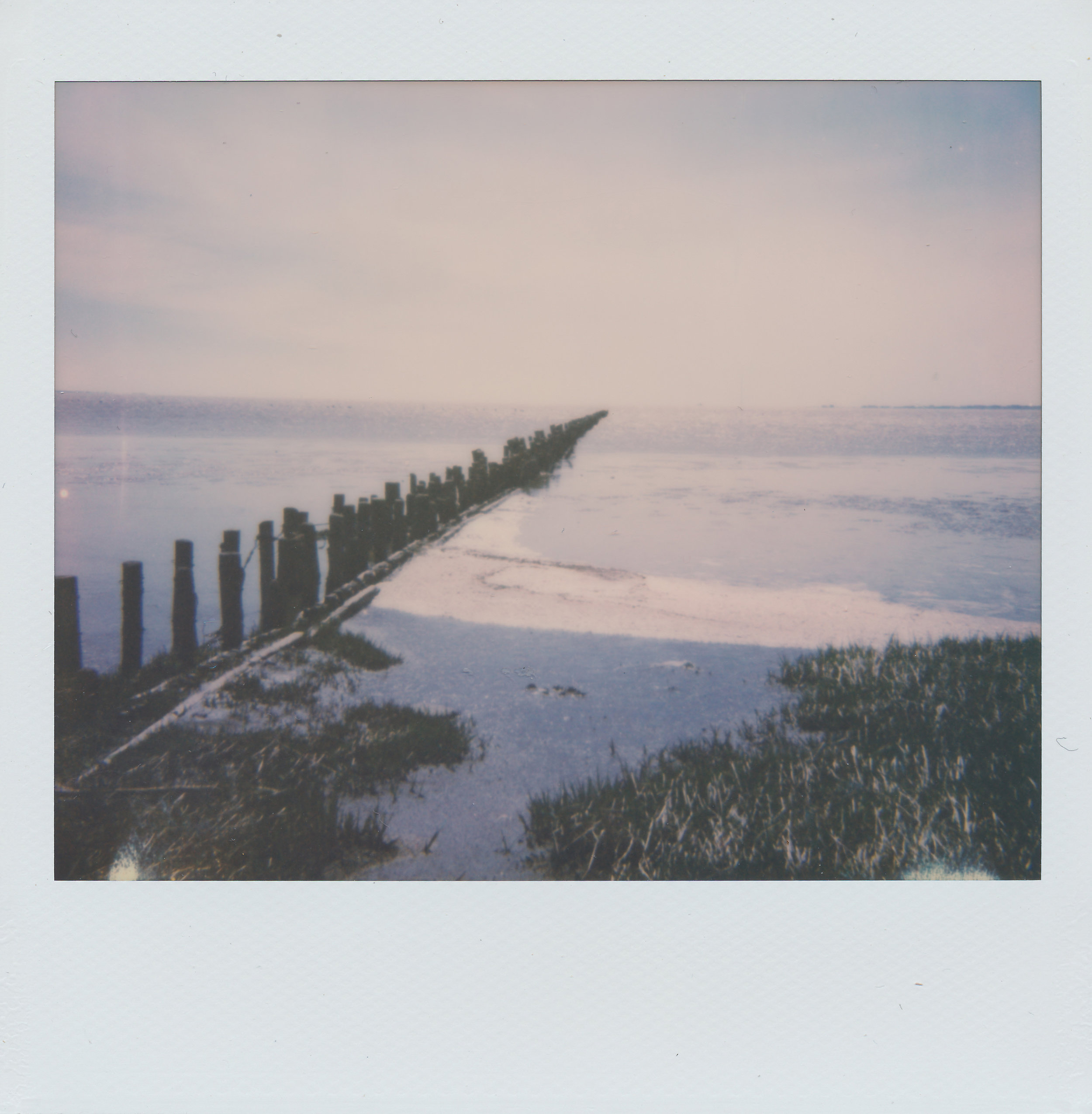 Zen II | Polaroid Spectra Image 2 | Impossible Project Spectra Color | Mads Madison
