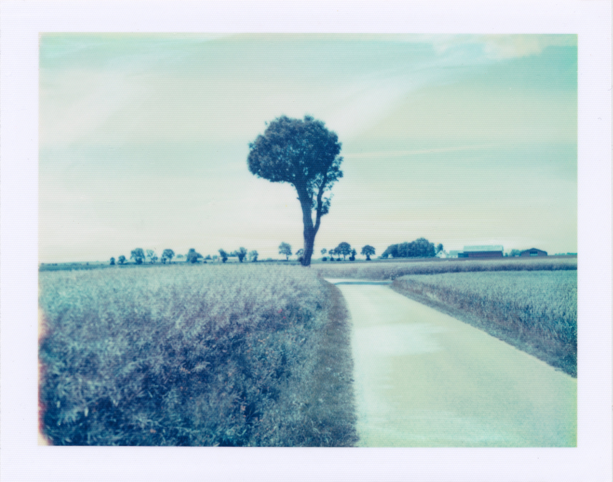 Field Road Tree | Polaroid 195 | Polaroid 669 | Per Forsström