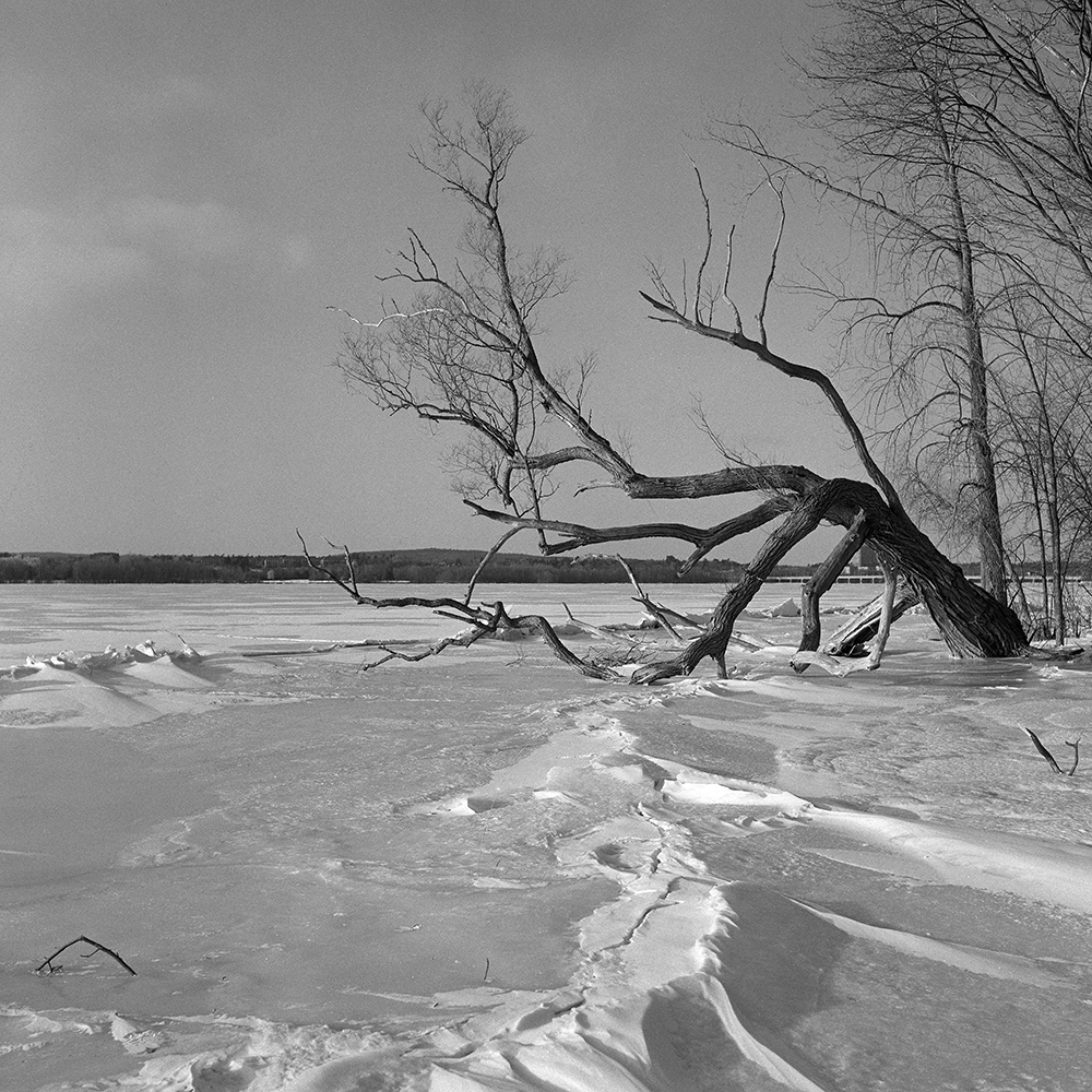 Howard Sandler | Frozen river | Ricoh Diacord | Delta 400