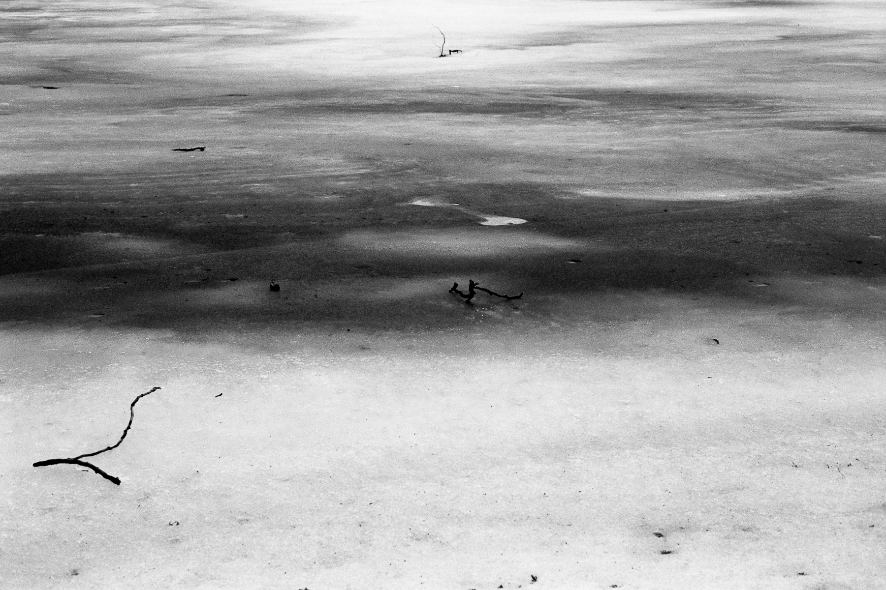 Marian Tudor | Frozen lake | Nikon FM-2n | Ilford XP-2 Super 400