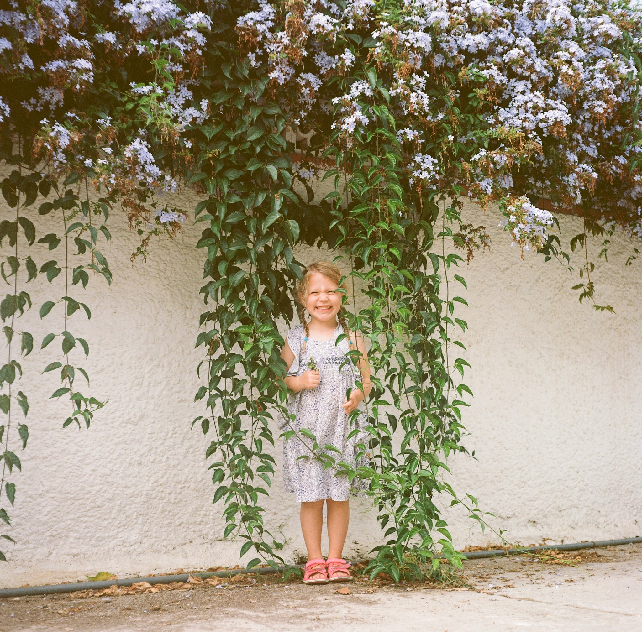 Flower Girl | Rolleicord | Ektar | Michael Rennie
