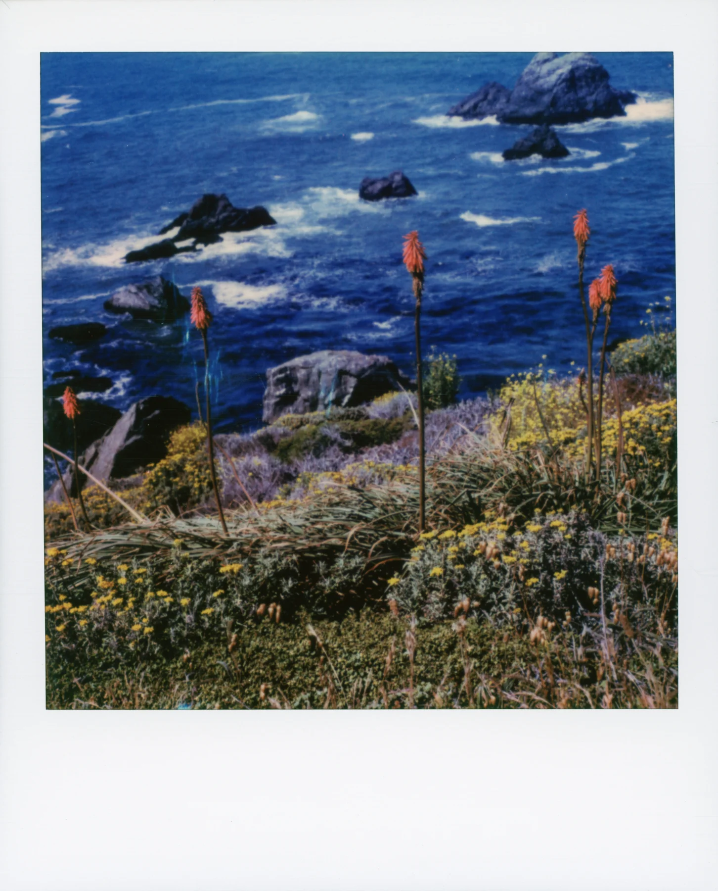 California Dreams | Polaroid SLR680 | Polaroid Originals 600 | Brad Stein