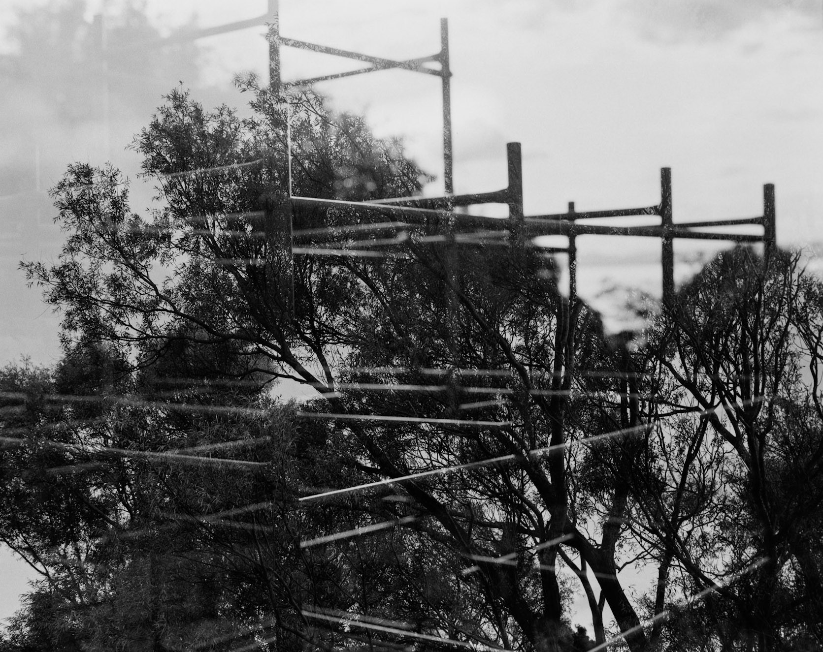 Climb Everything | Mamiya RB67 | 90mm | Michael Rennie