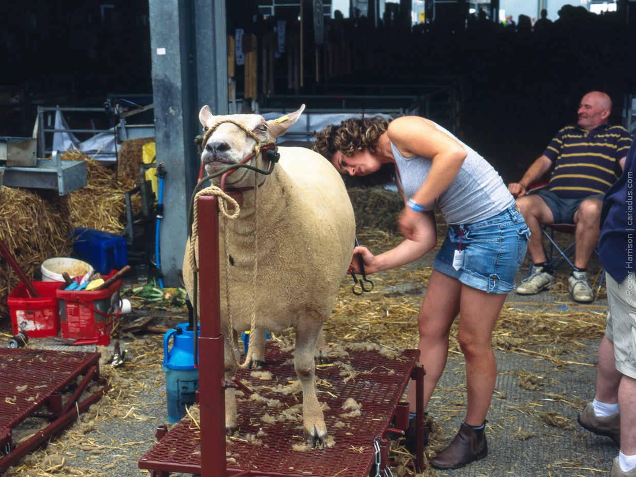 Royal Welsh Show, Builth Wells - H1, HC 150MM, Provia 100F at 400