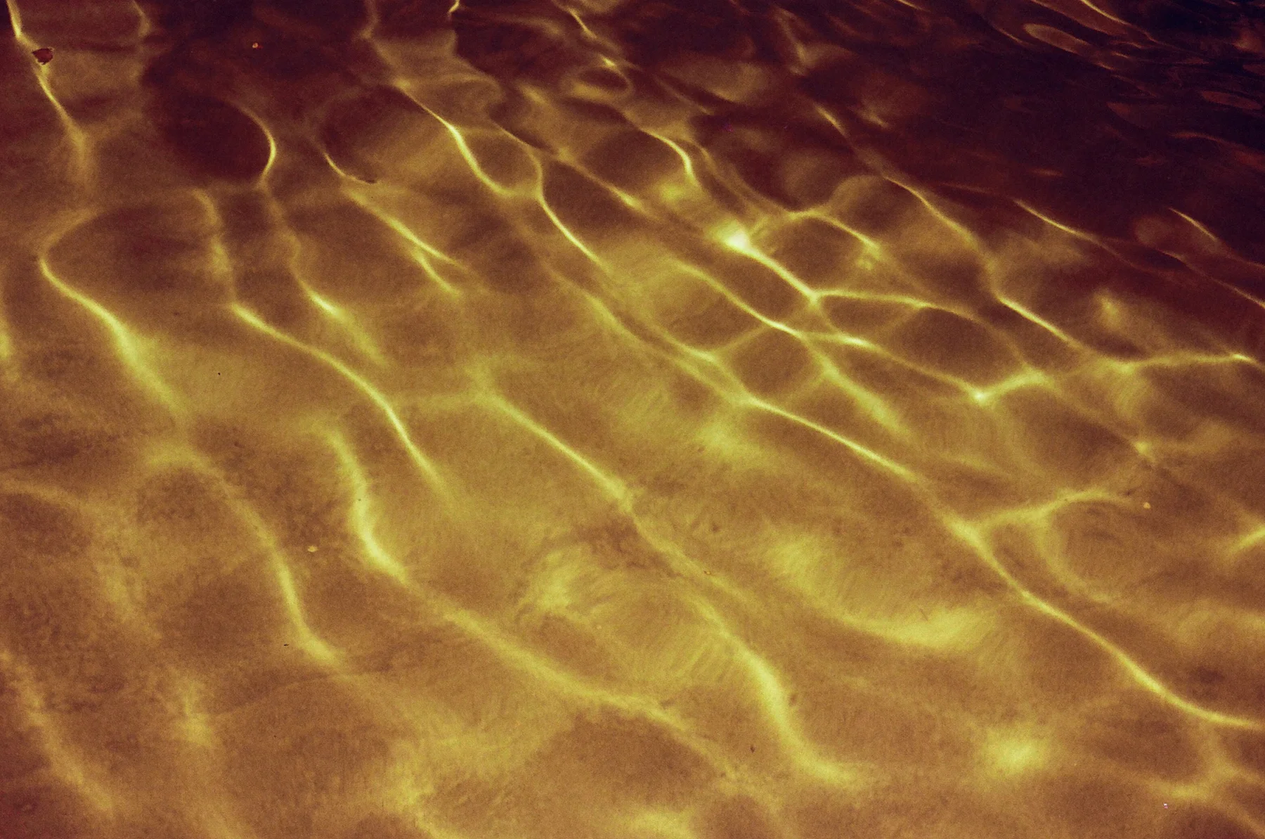 Golden Waters | Canaon AE1 | SvemaRed | Alessandra Wike
