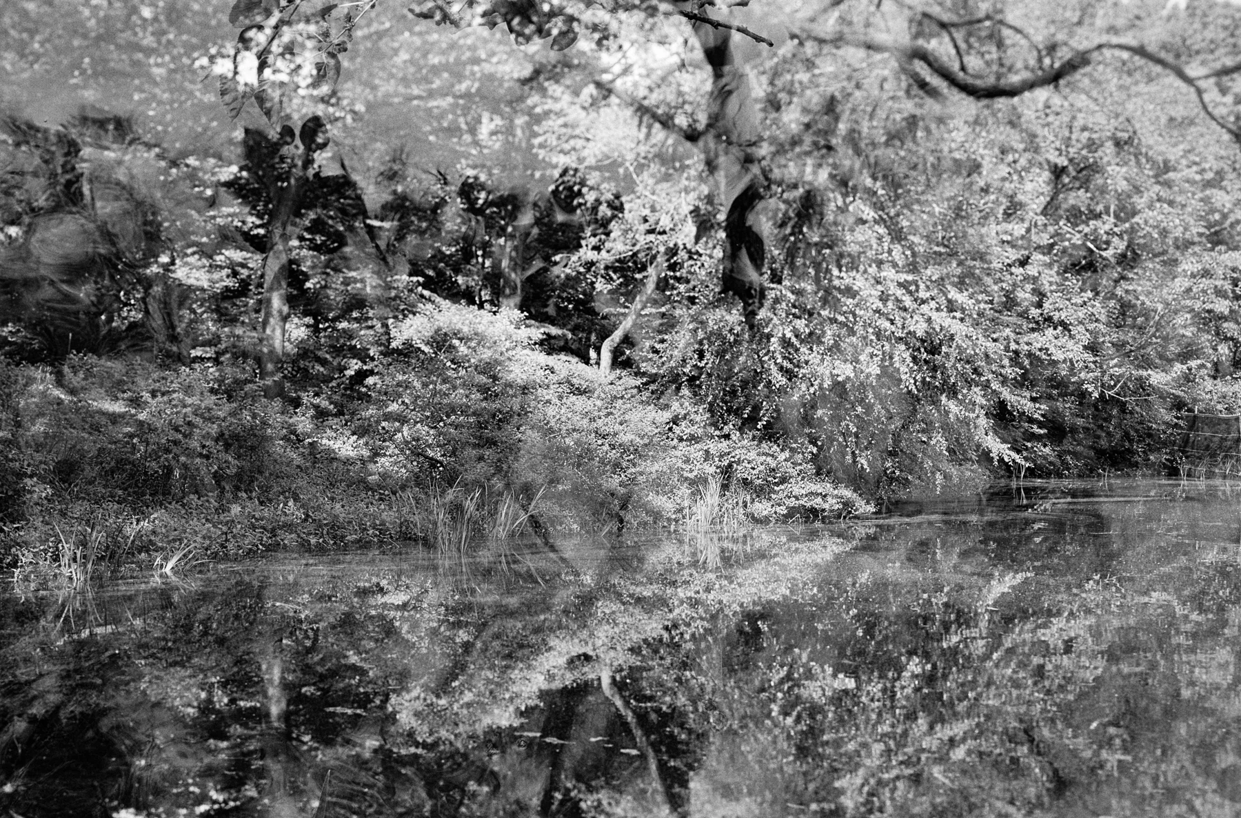 I quite like this unexpected double exposure, a result of my forgetting to wind the film on after a previous exposure. Sinar Norma, Schneider Kreuznach 150mm f5.6 Symmar and Kodak Tri-X 400