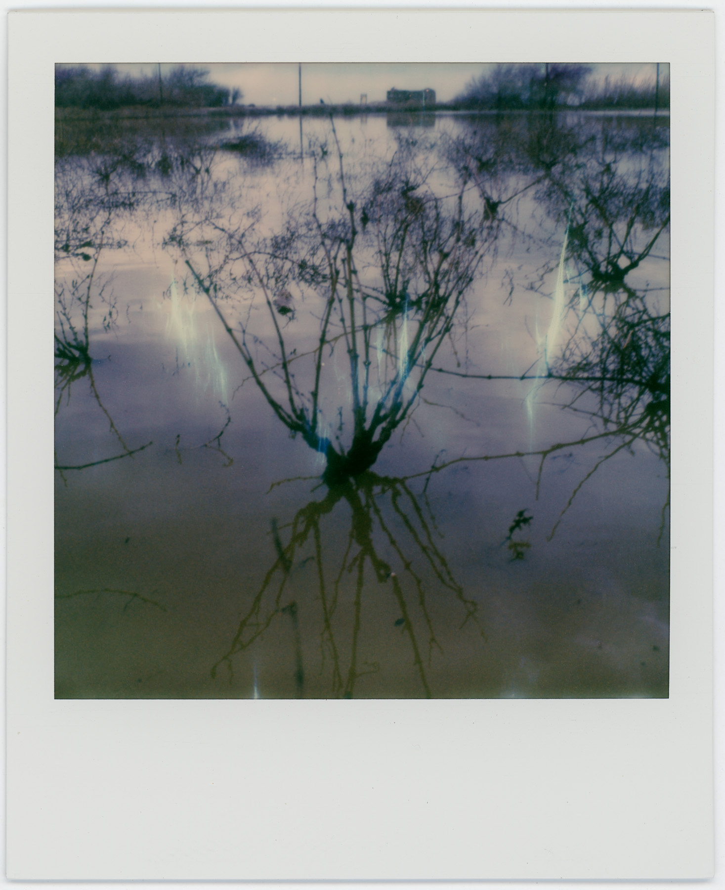 Flooded Vinyard | SLR 680 | Alek Lindus