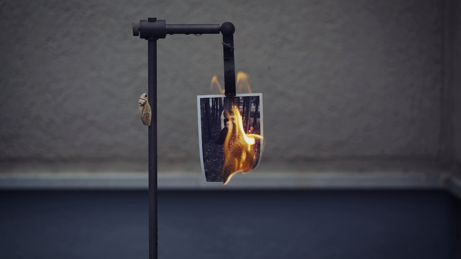 It’s A Video Of Burning Prints That Took Some Courage To Do | Tim Gallo
