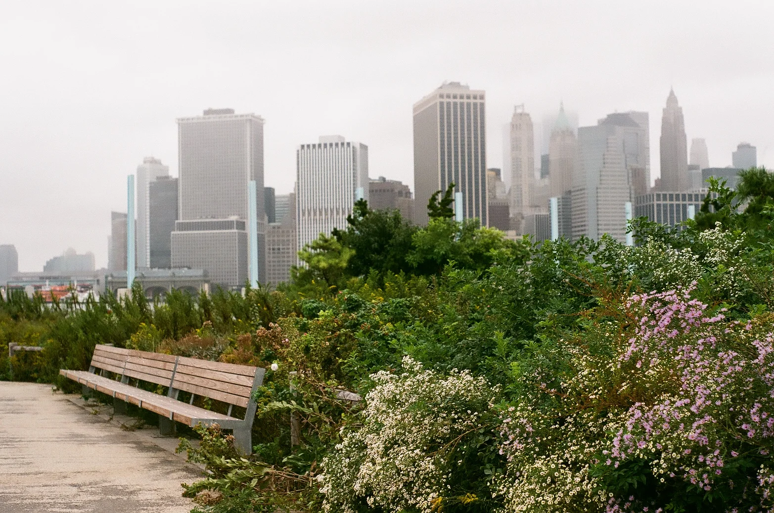 Cityscape | Madison Thain